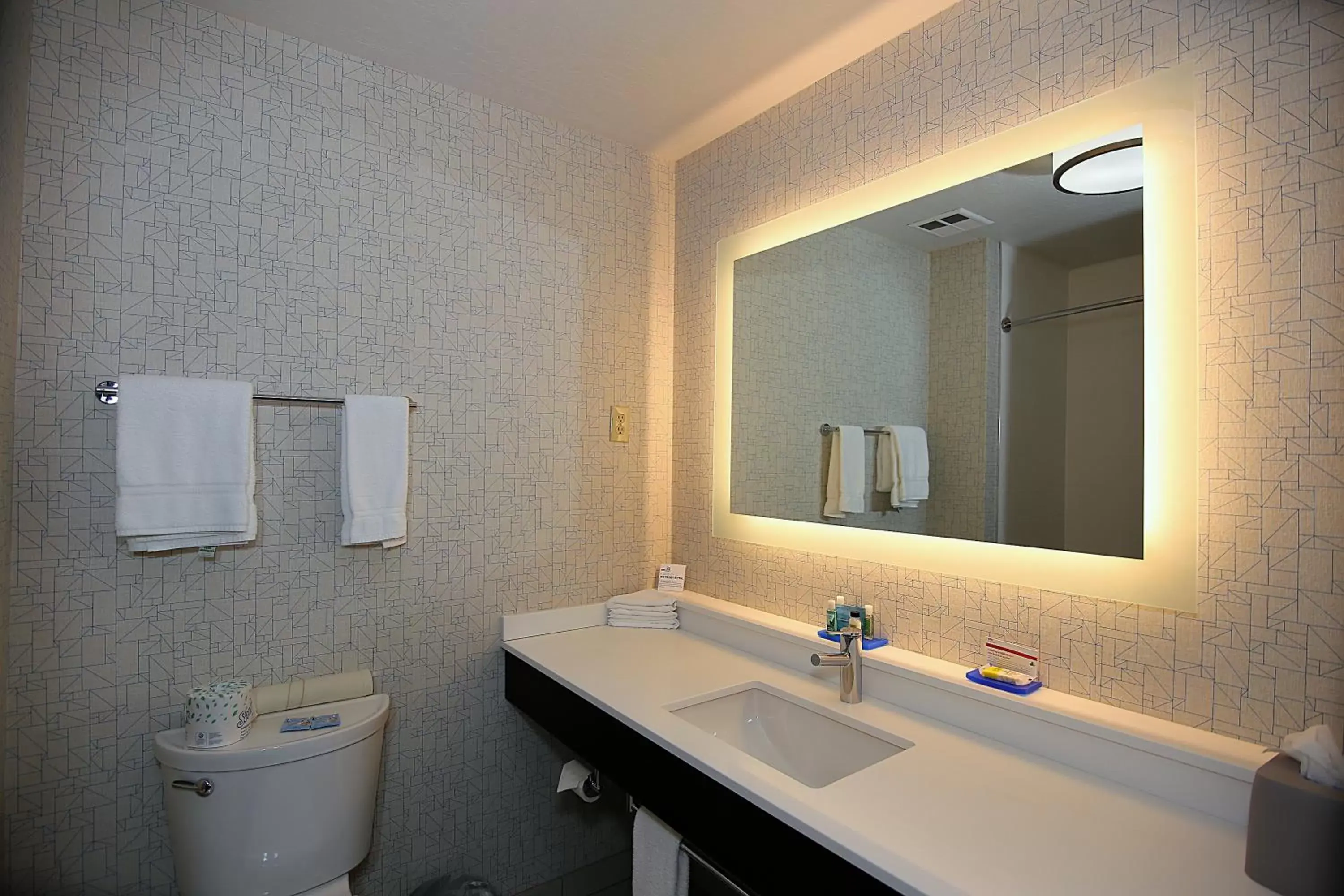 Bathroom in Holiday Inn Express Hotel & Suites Ashland, an IHG Hotel