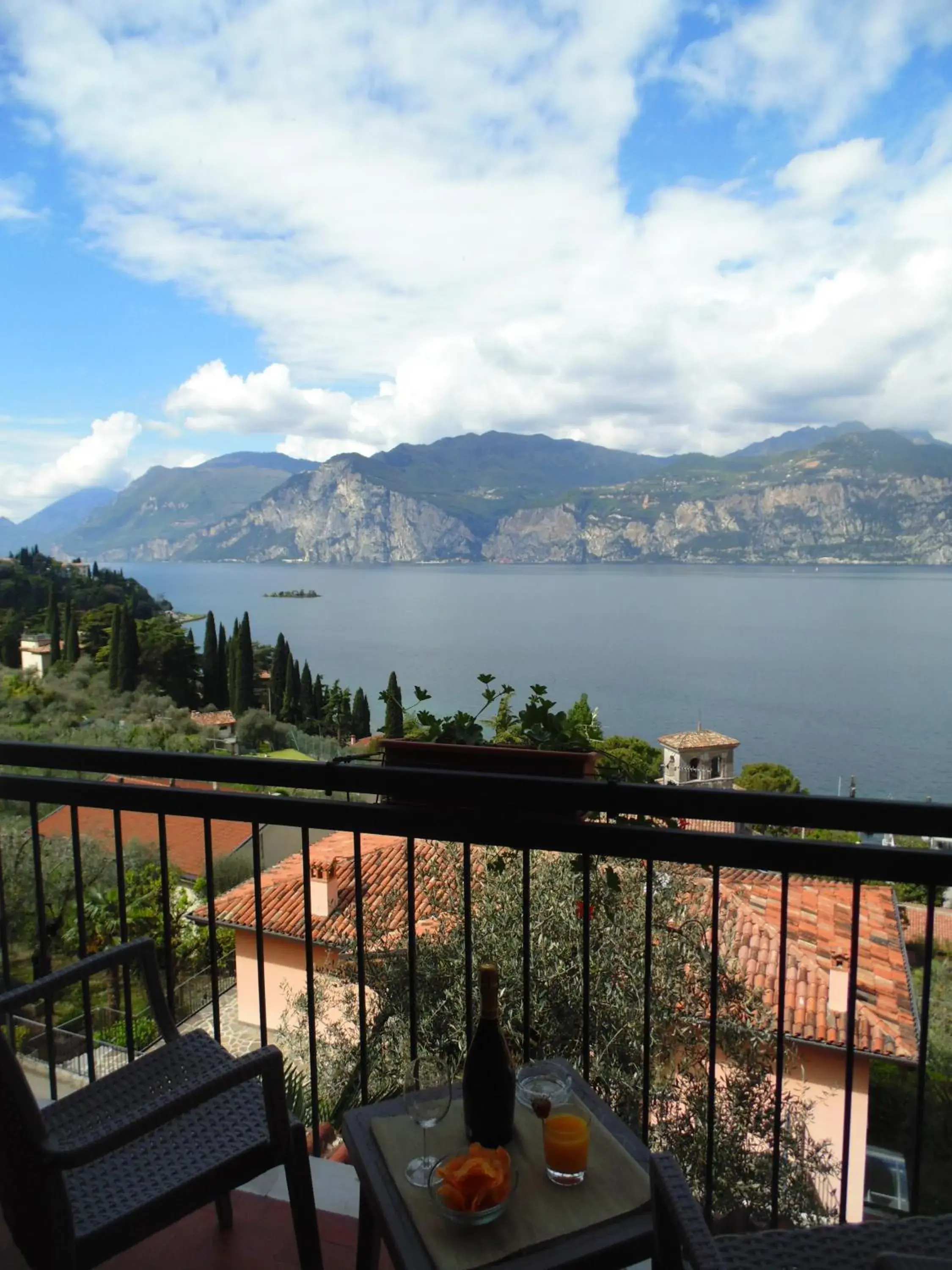 View (from property/room) in Villa Emma Malcesine