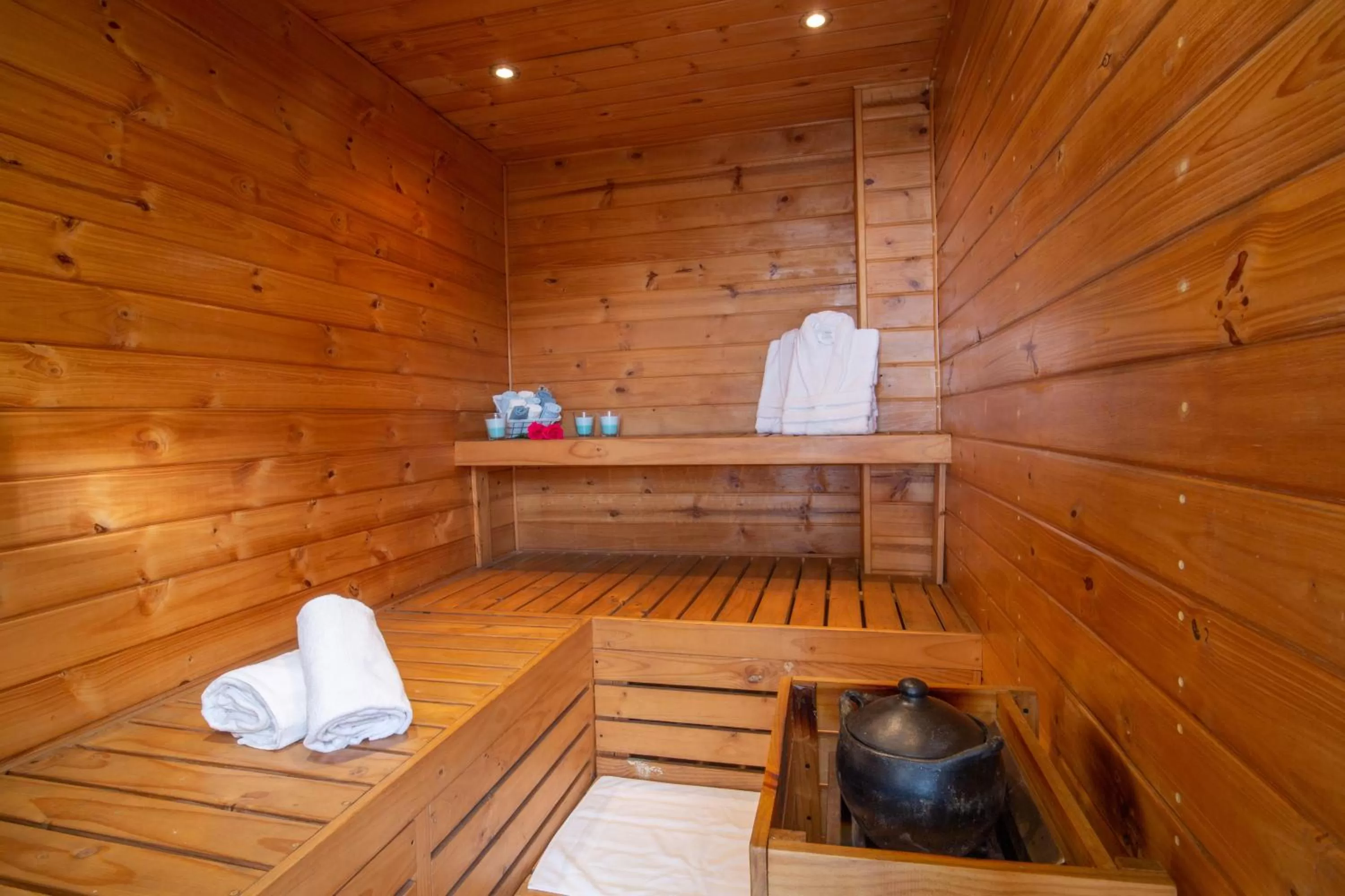 Sauna in Hotel Espacio 94