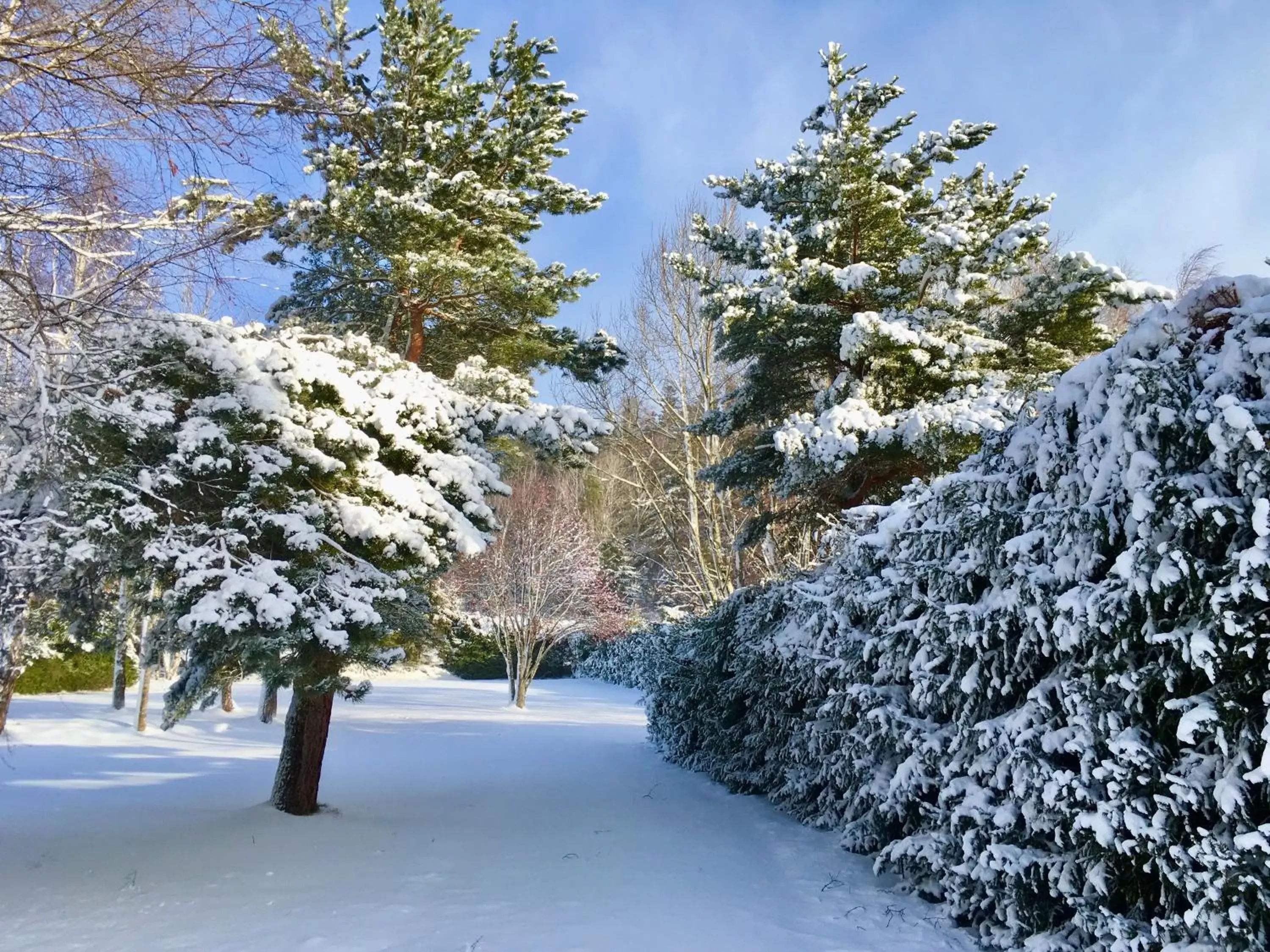Winter in Domaine les 2 Mondes