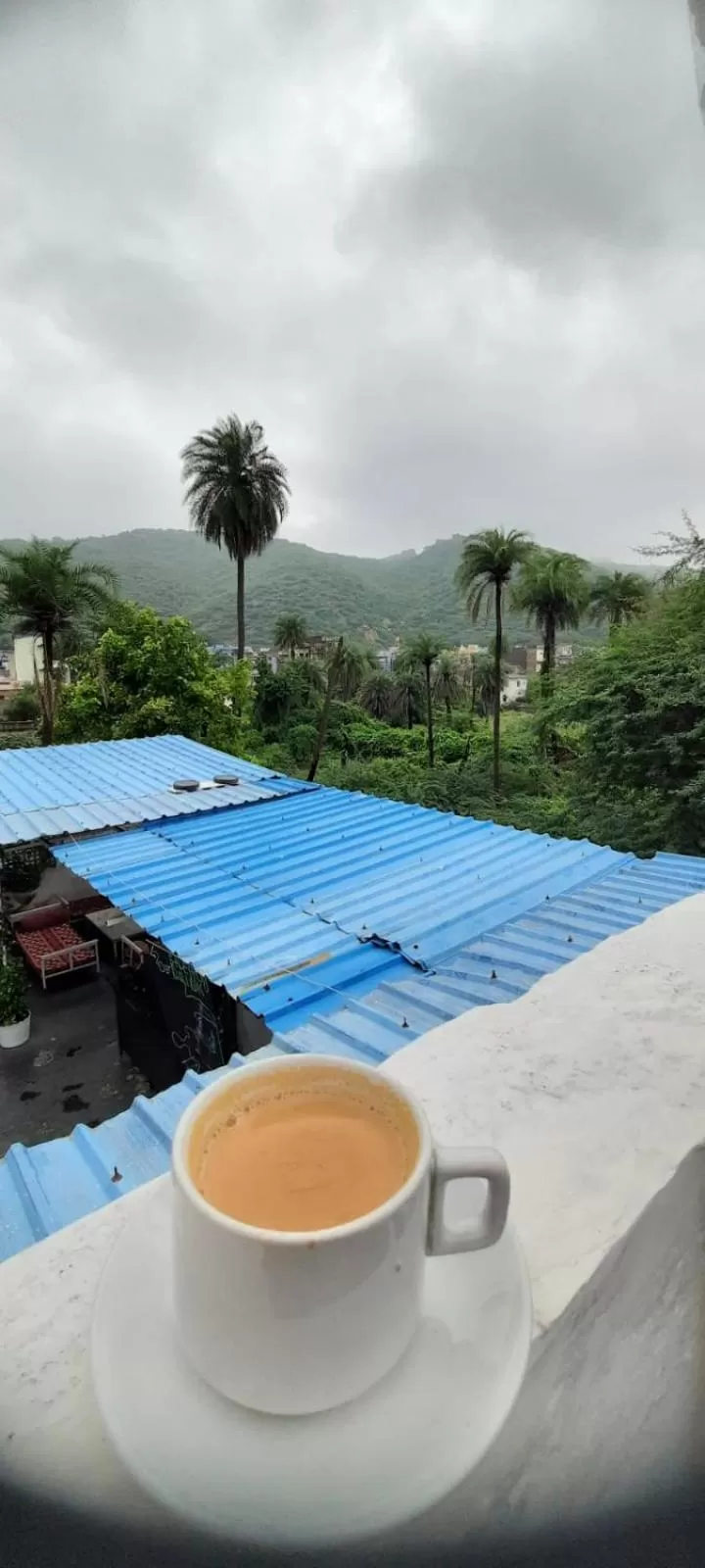 Swimming Pool in Hotel Bundi House