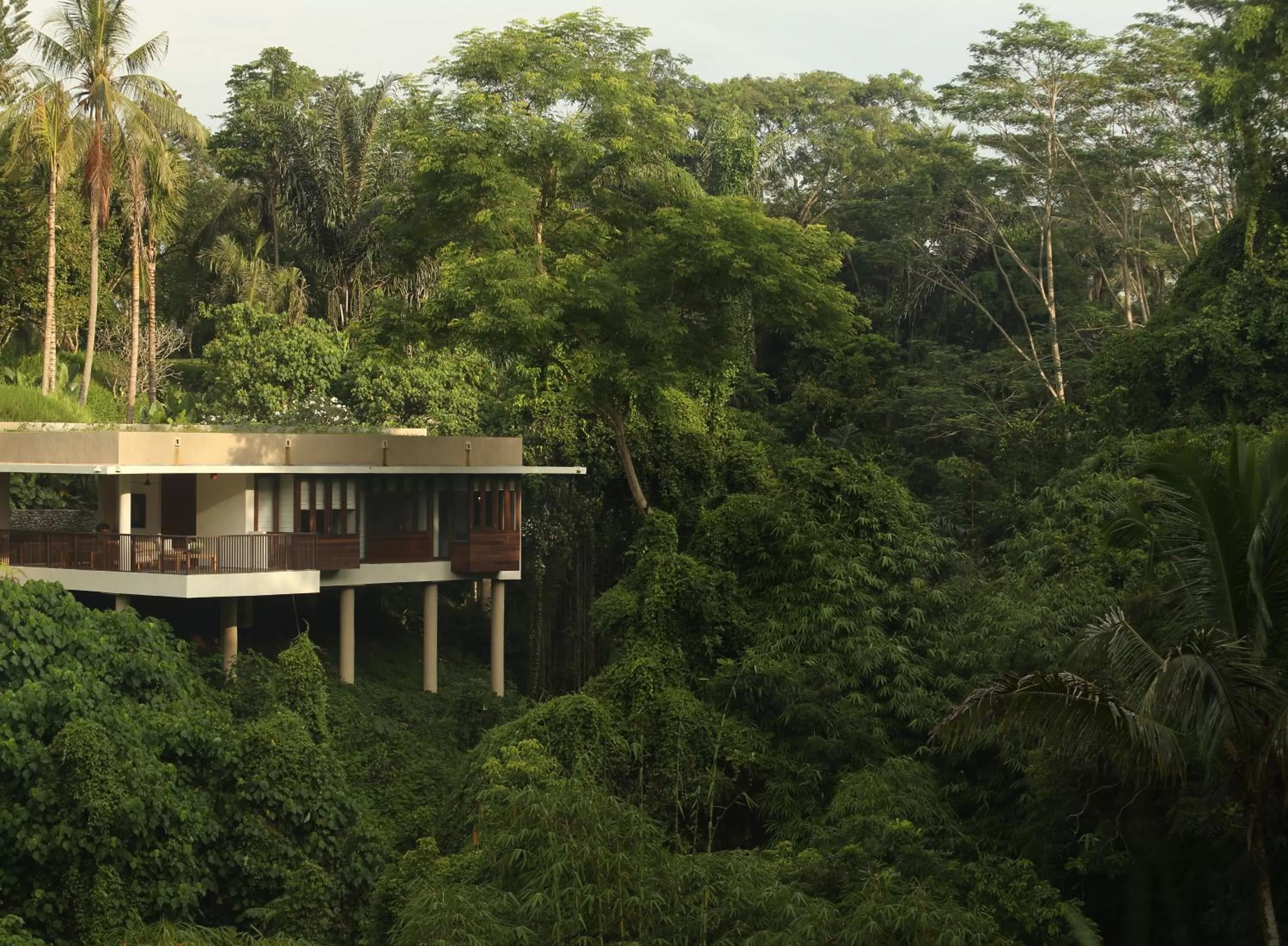 Property building in Alila Ubud