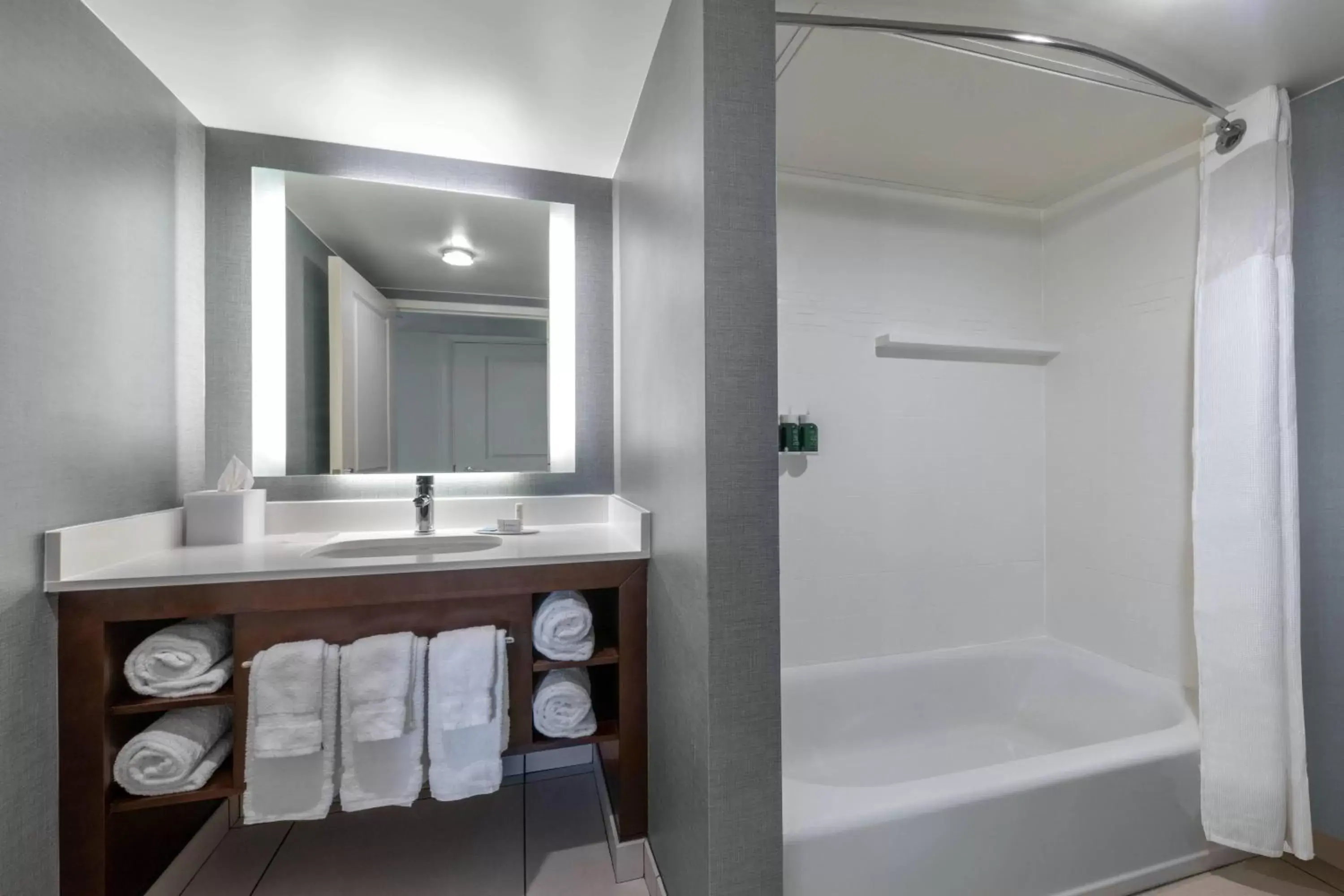 Bathroom in Residence Inn by Marriott Charlotte City Center