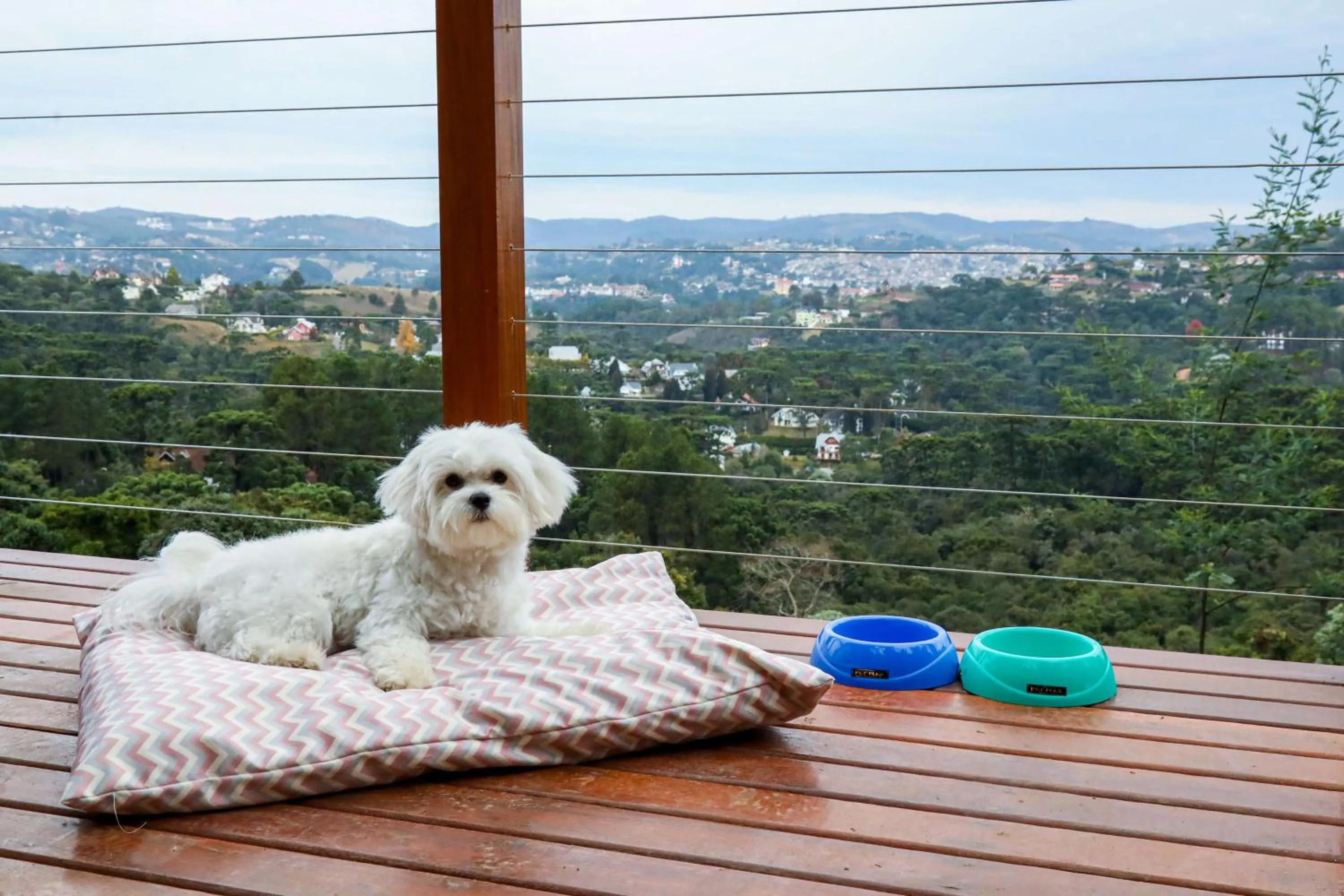 Other in Carpe Diem Boutique e Spa