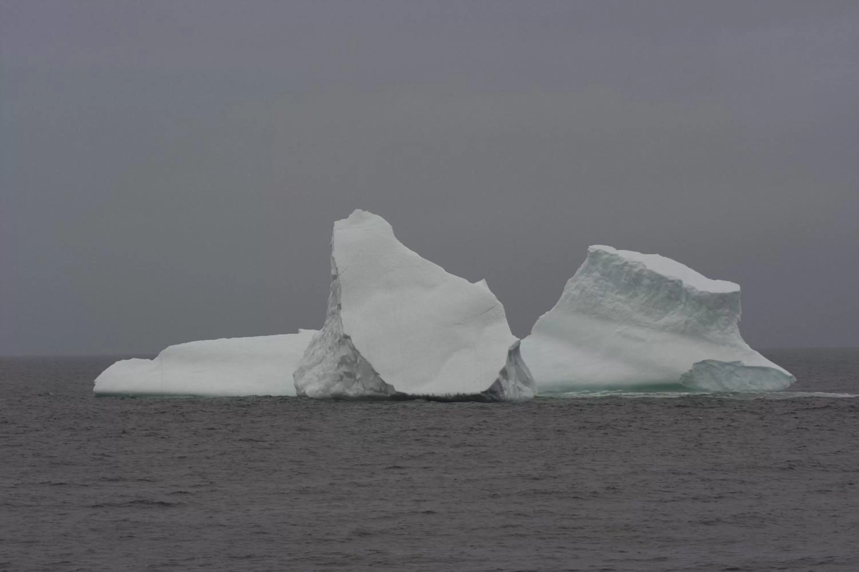 Other in Deer Lake Horizon Hotel