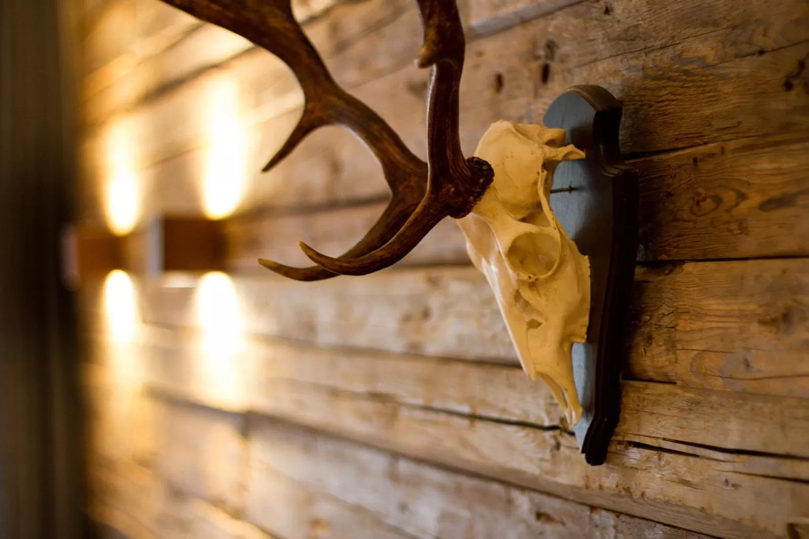 Decorative detail in Nordseehotel Kröger