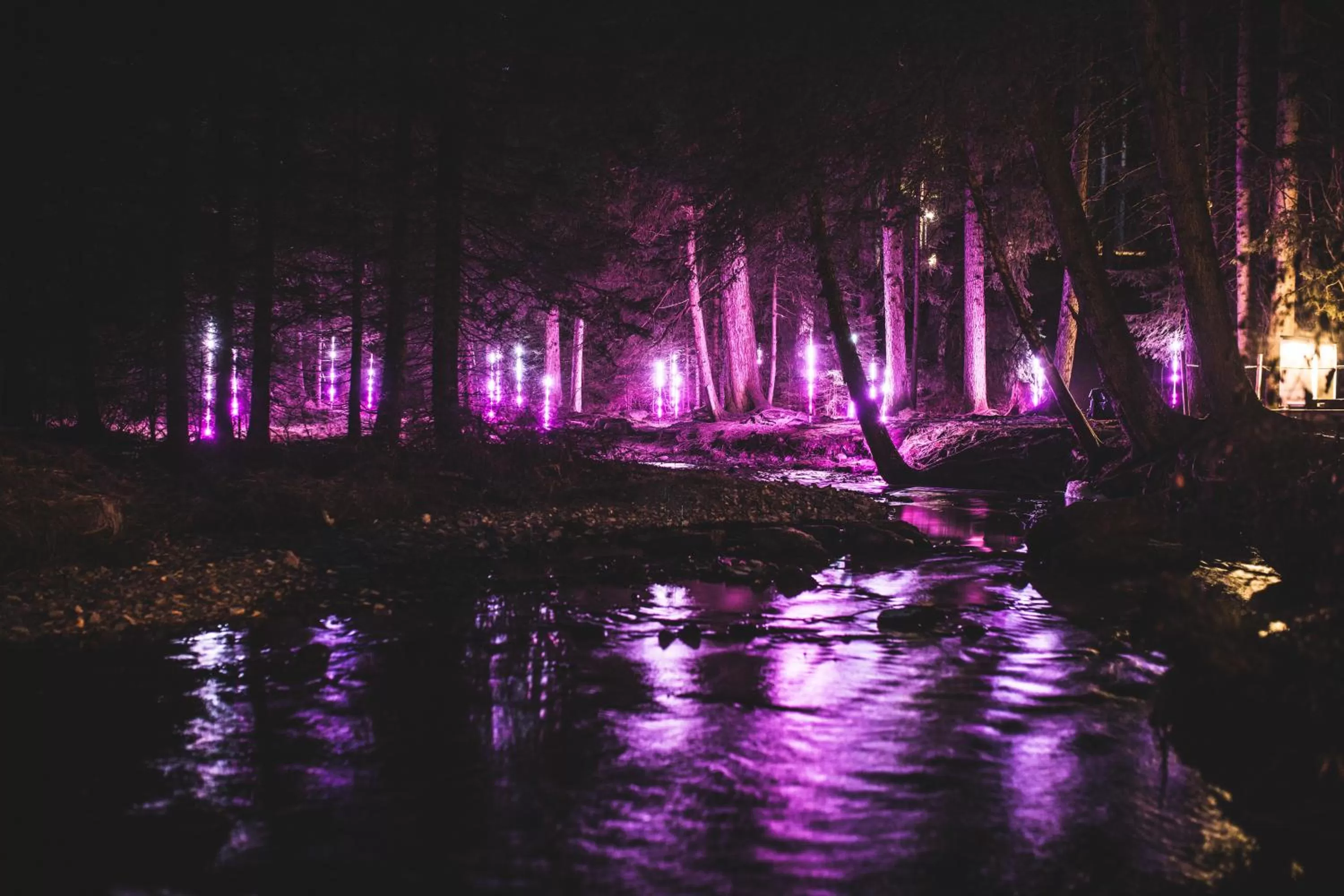 Entertainment in Lai Lifestyle Hotel