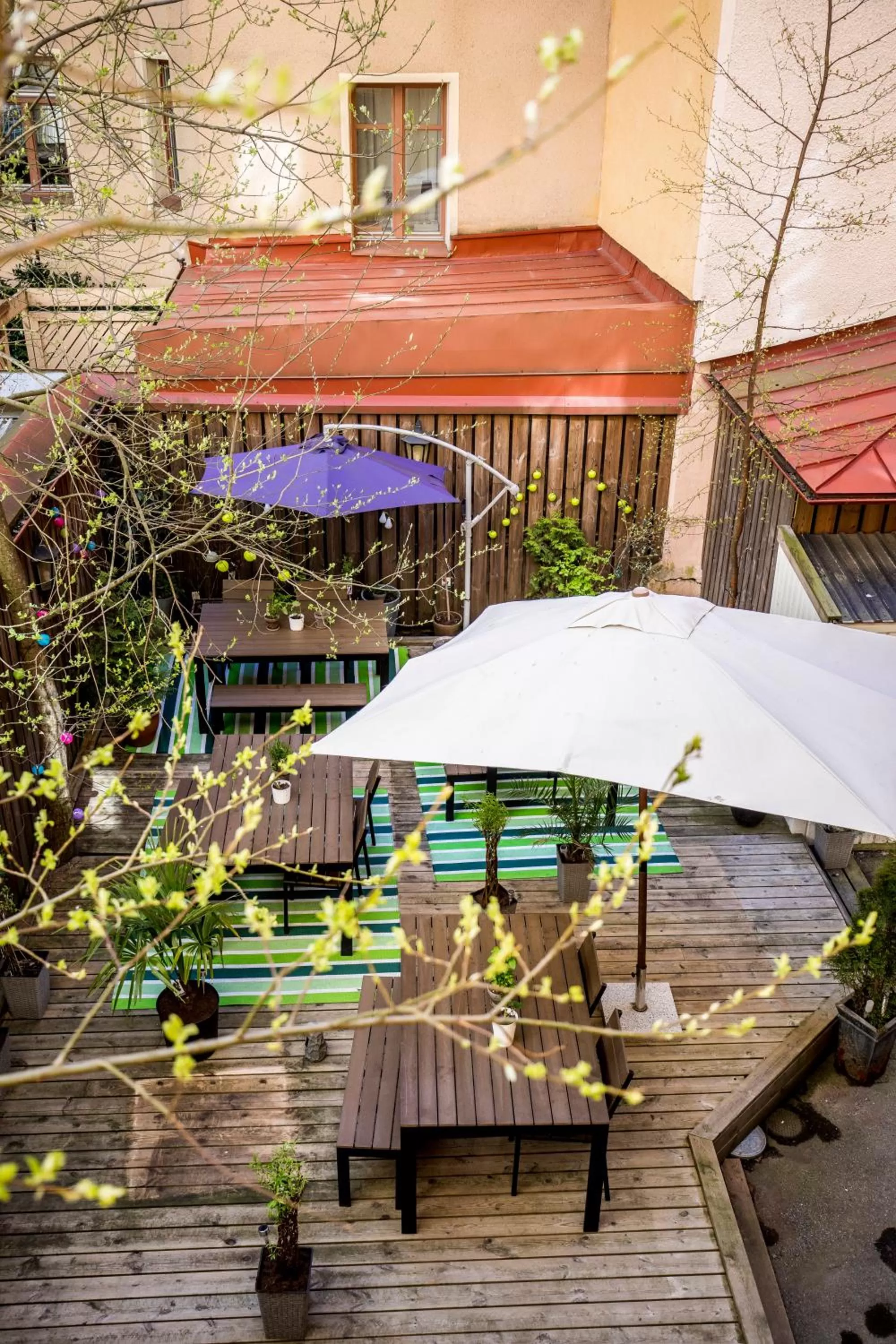 Area and facilities in Hotel Poseidon