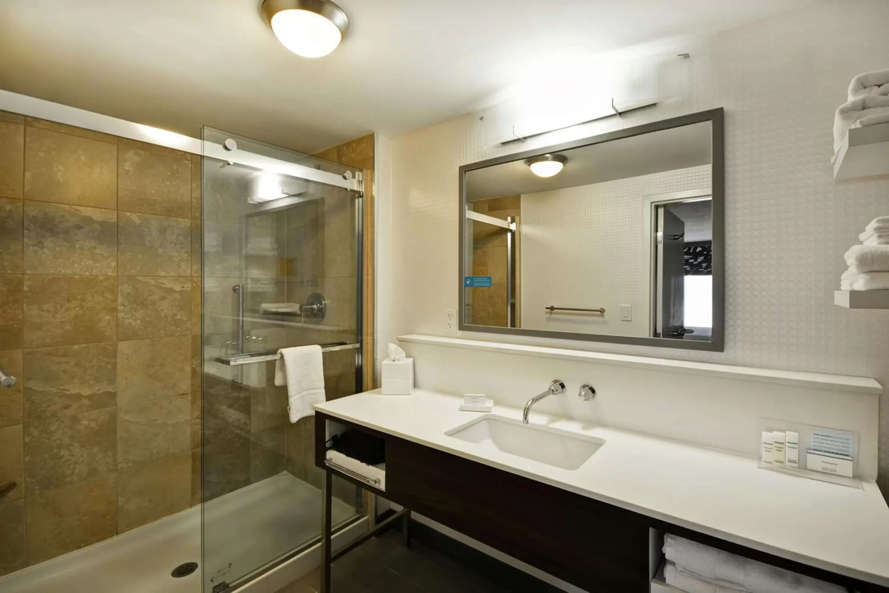 Bathroom in Hampton Inn & Suites Columbus-Easton Area