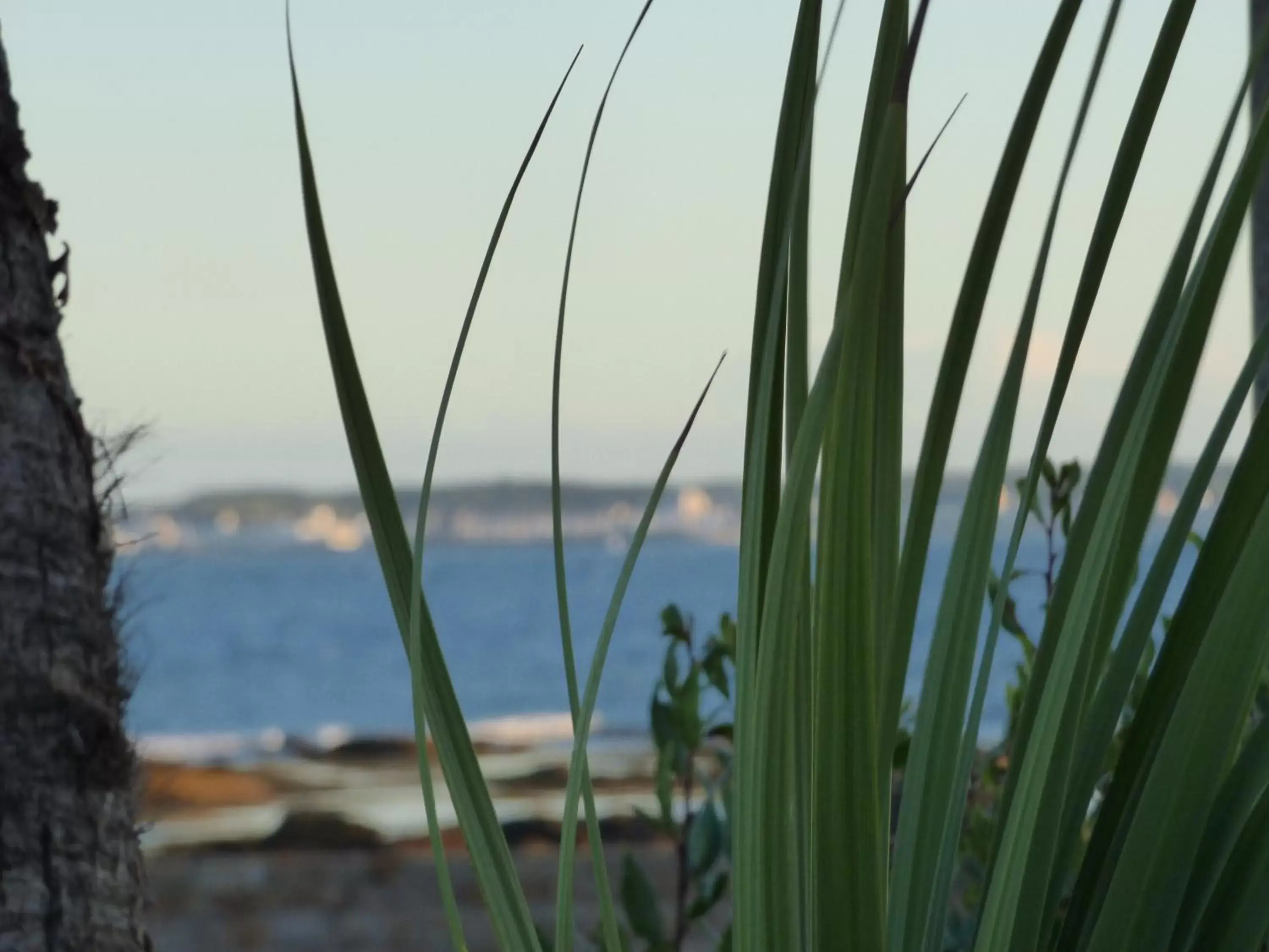 Sea View in Hotel Castel Moor