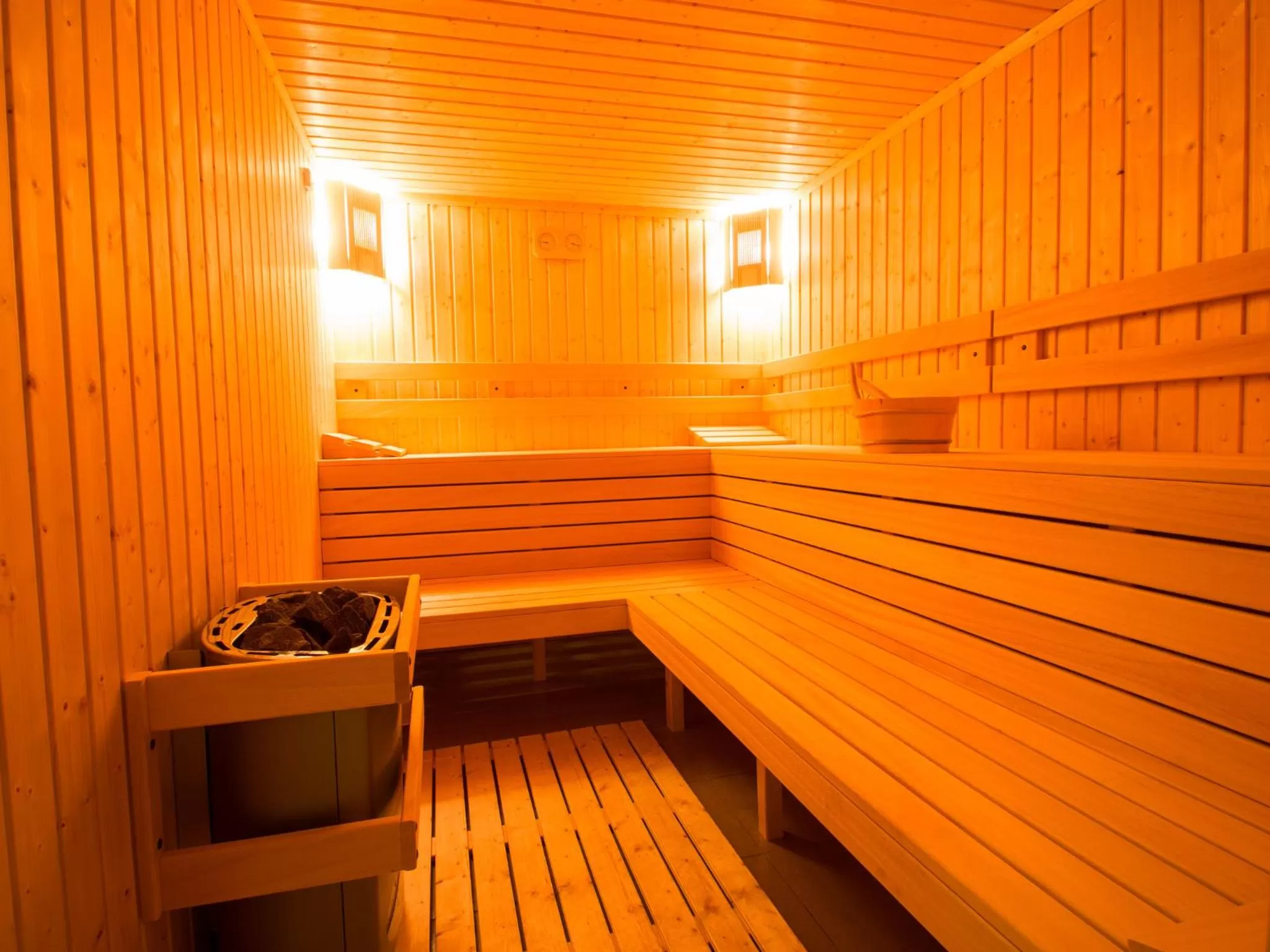 Sauna in Park Hotel Asenevtsi