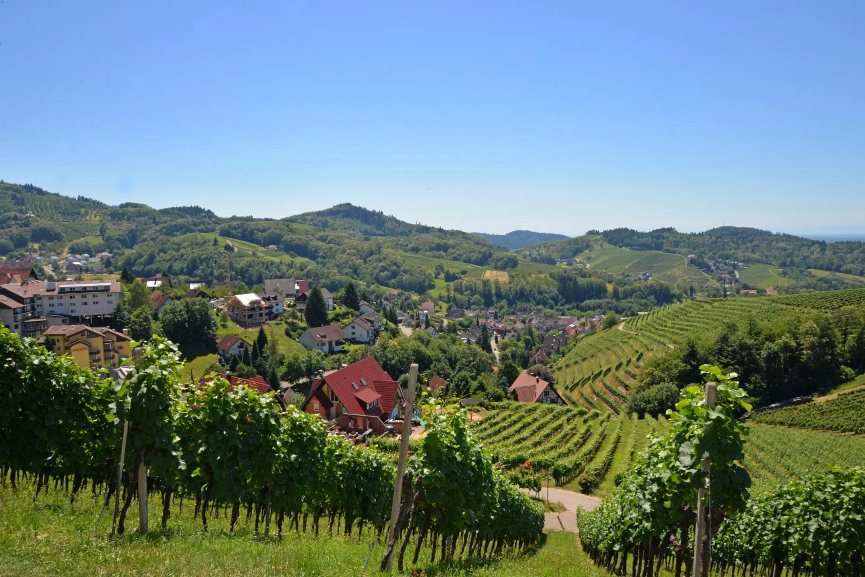 Neighbourhood in Residence am Weinberg / Travellers Hotelbetriebs GmbH