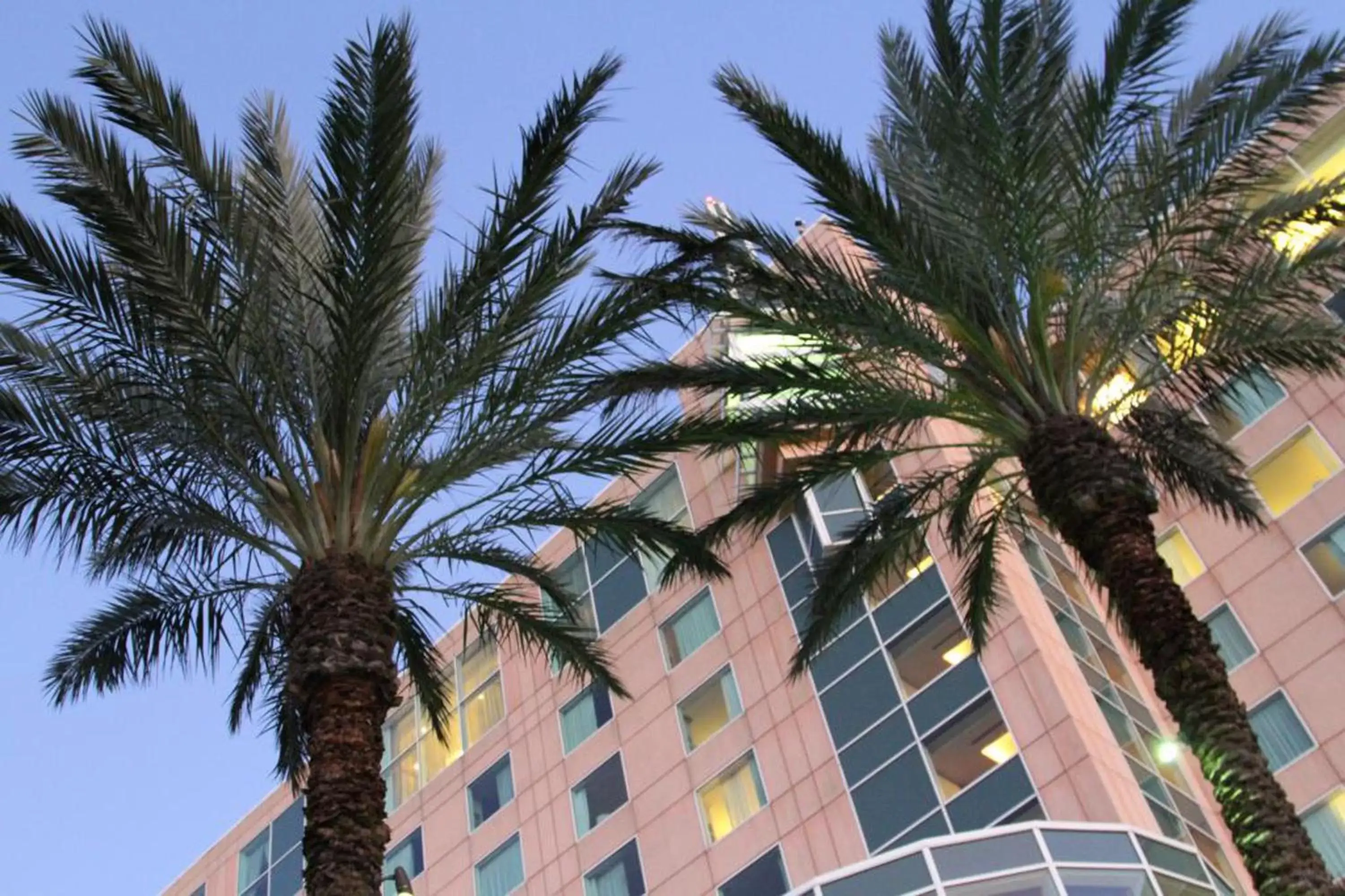 Facade/entrance, Property Building in Moody Gardens Hotel, Spa and Convention Center