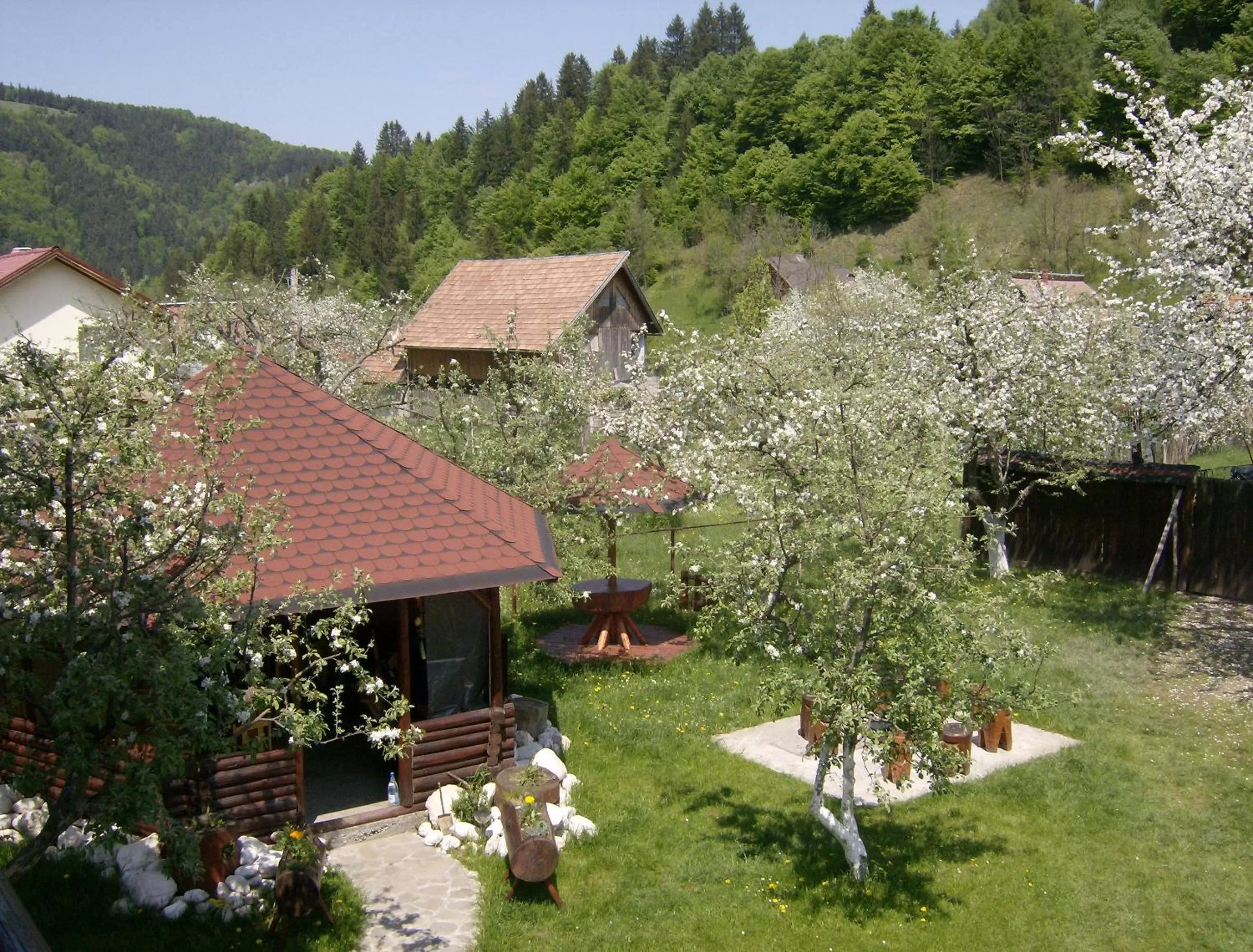 Bird's eye view in Pensiunea Luminita