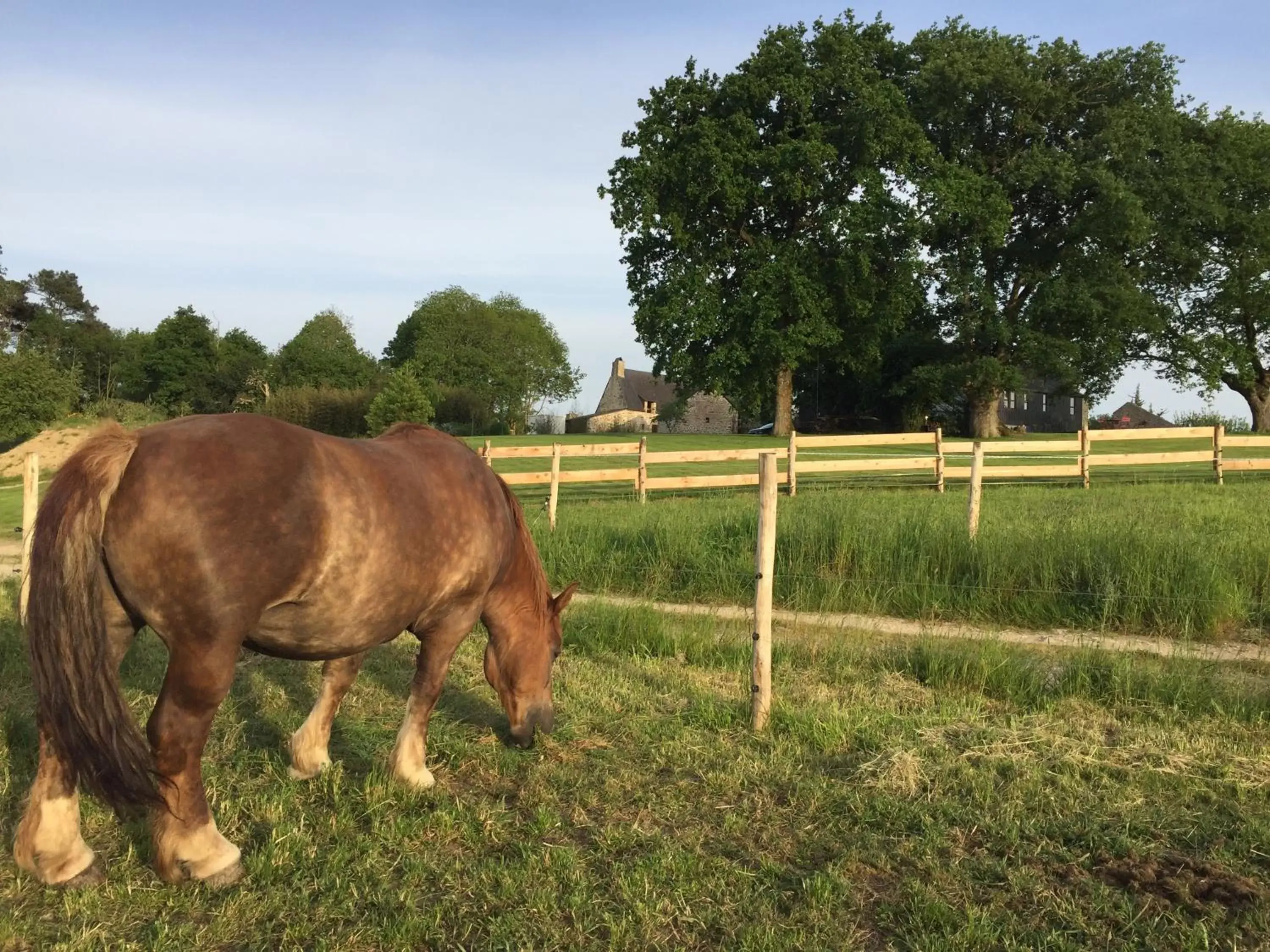 Animals, Other Animals in Le Clos du Gusquel