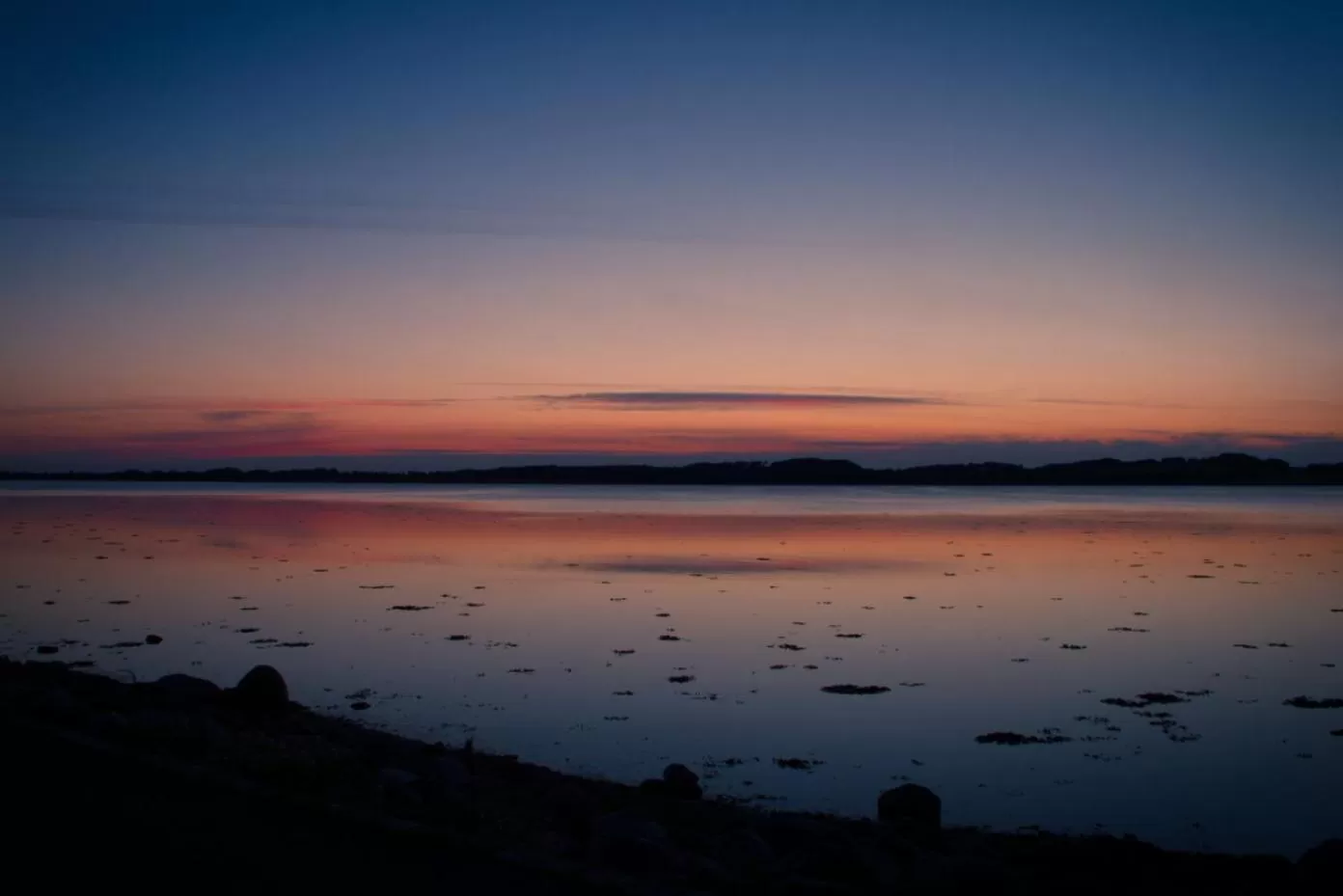 Natural landscape in Hotel Strandparken