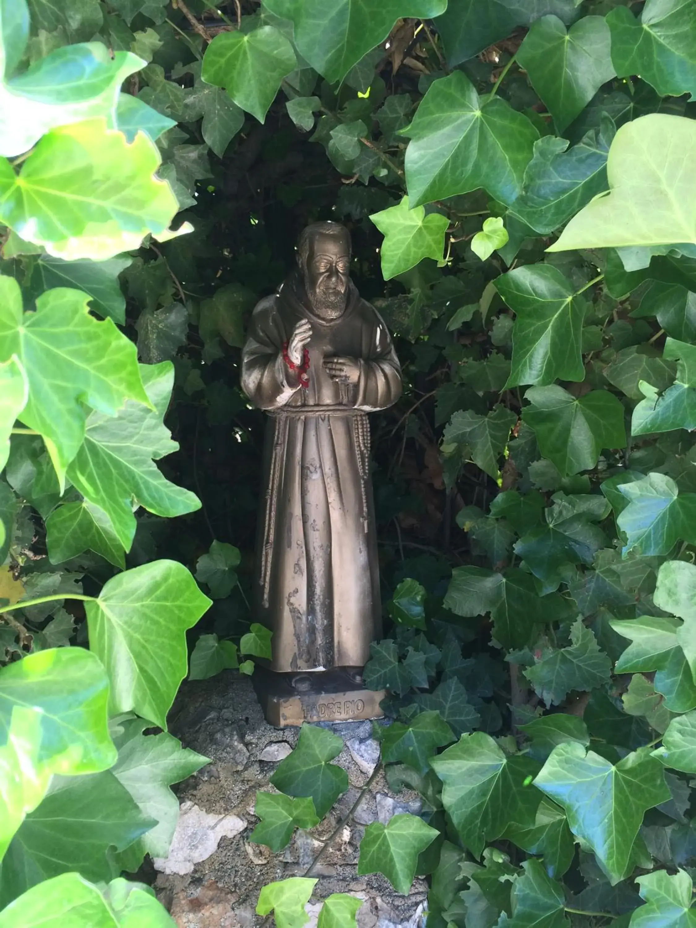 Garden, Guests in Hotel Parco Delle Rose