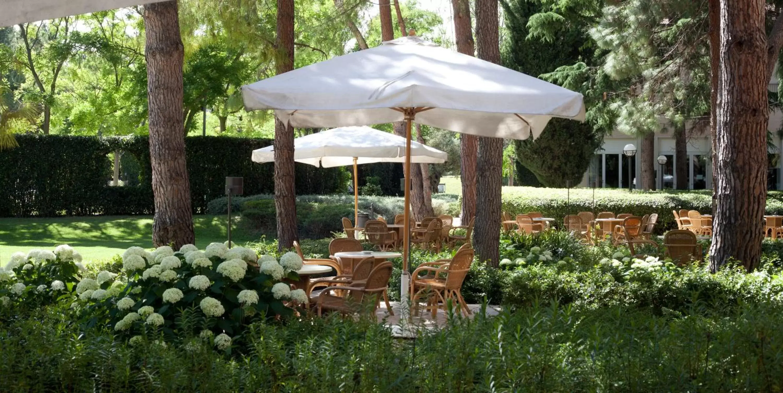 Garden in Villa Maria Hotel & SPA