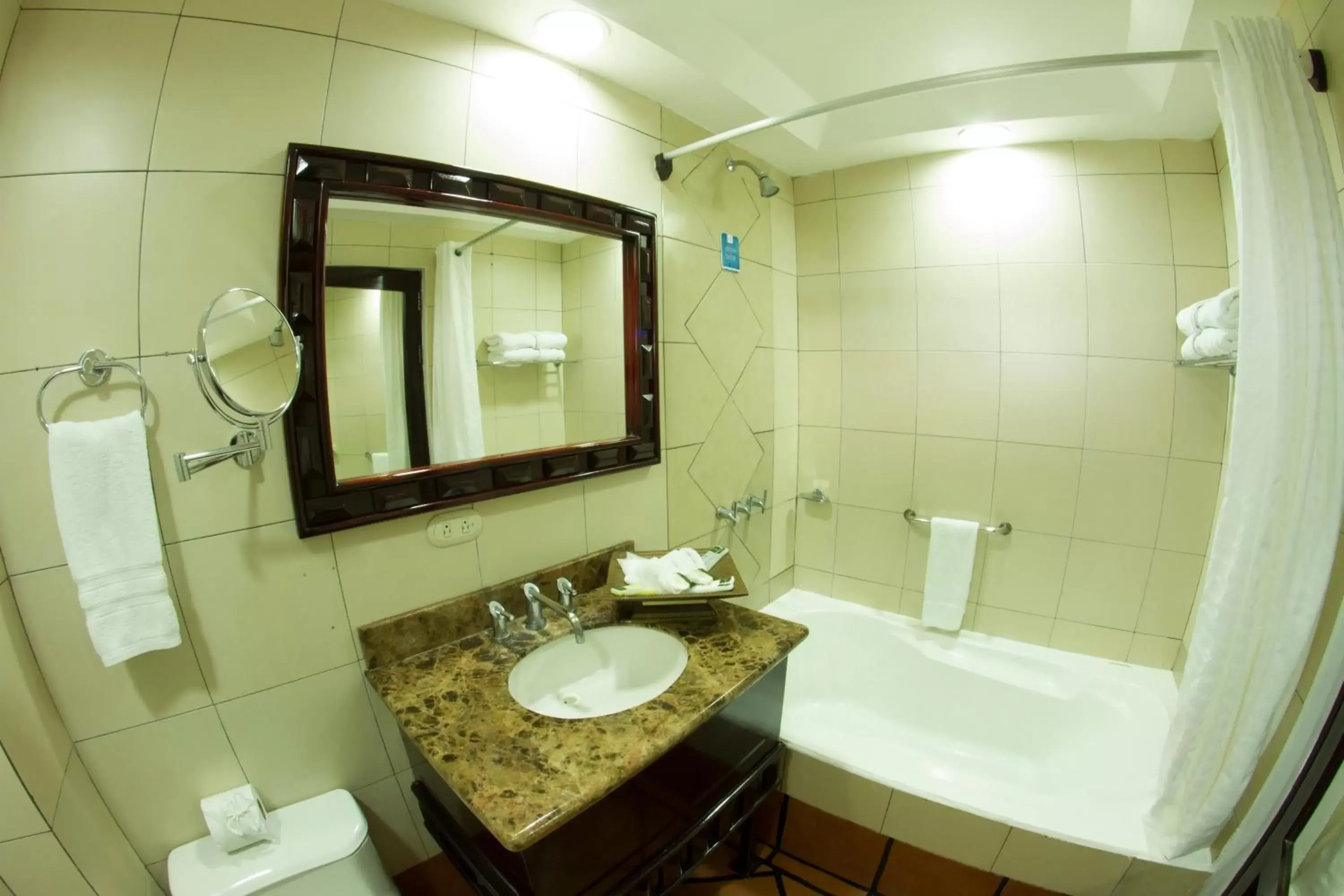 Bathroom in Baldi Hot Springs Hotel & Spa