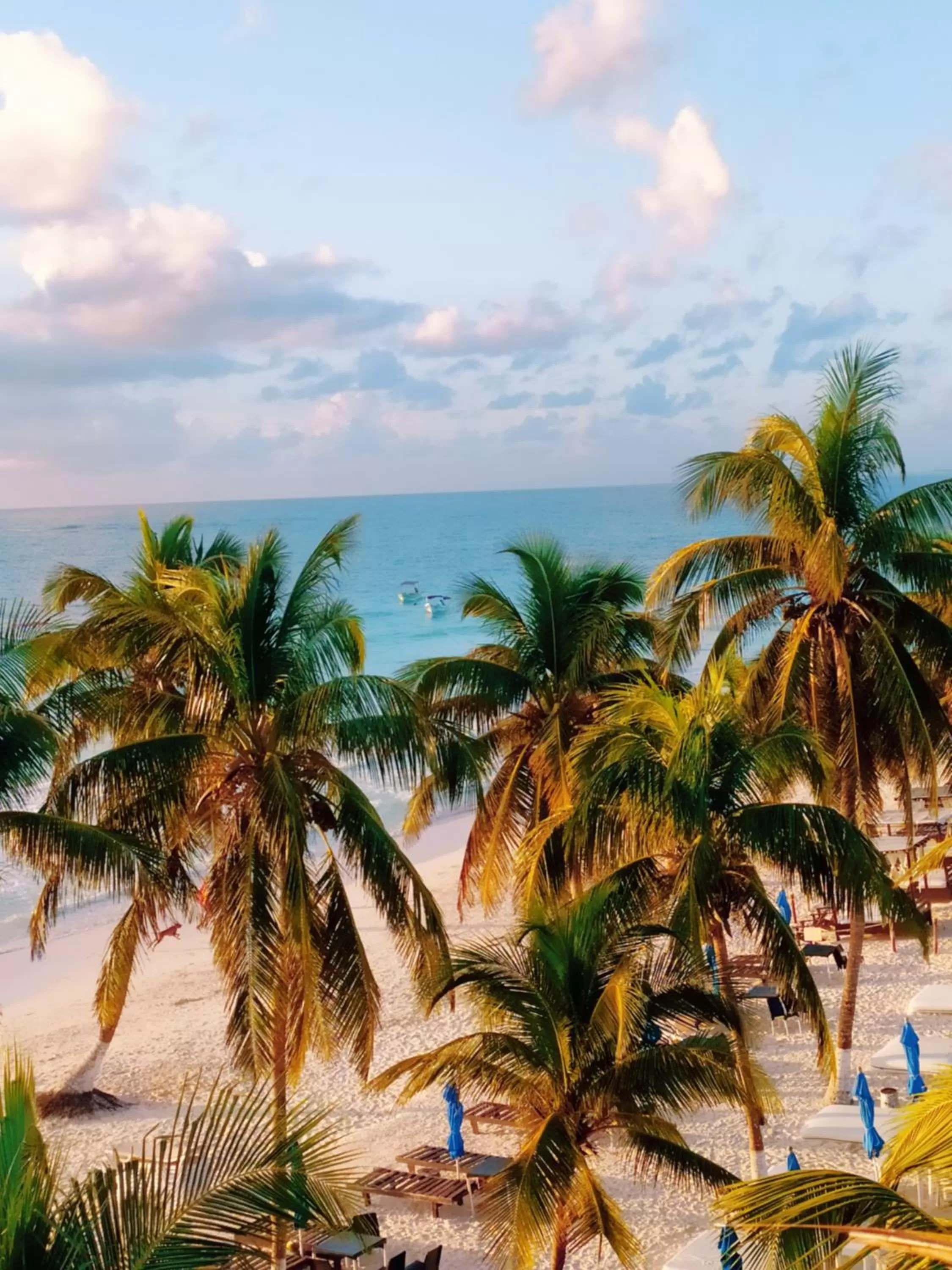 Natural landscape in El Paraiso Hotel Tulum