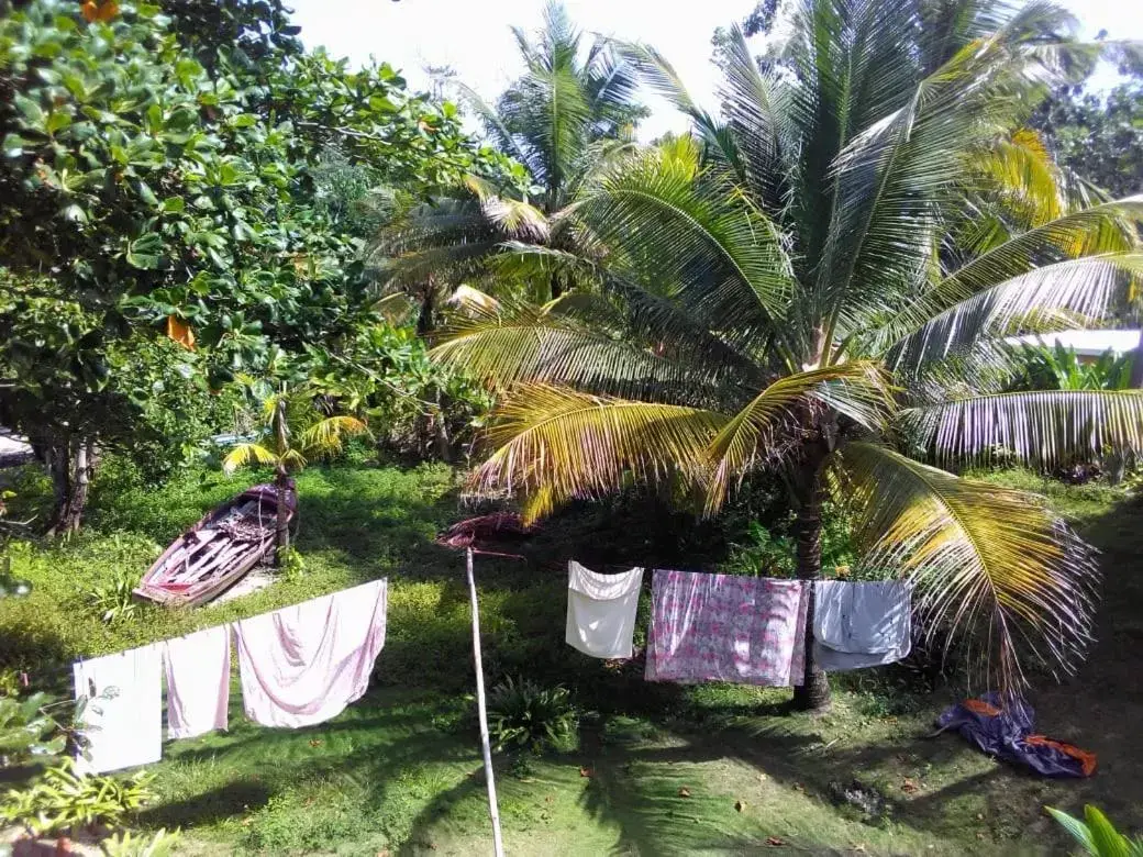 Garden in Port Antonio Brian's Beach House