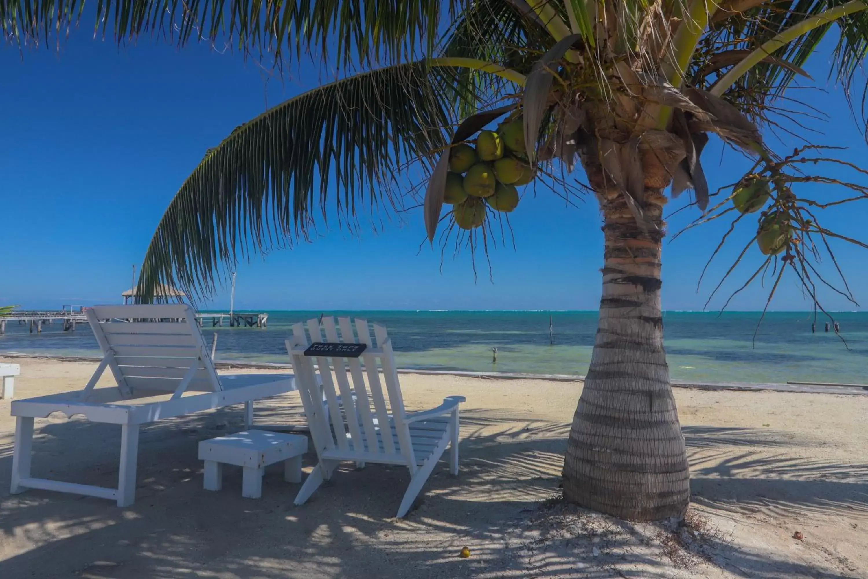 Beach in Treetops Hotel