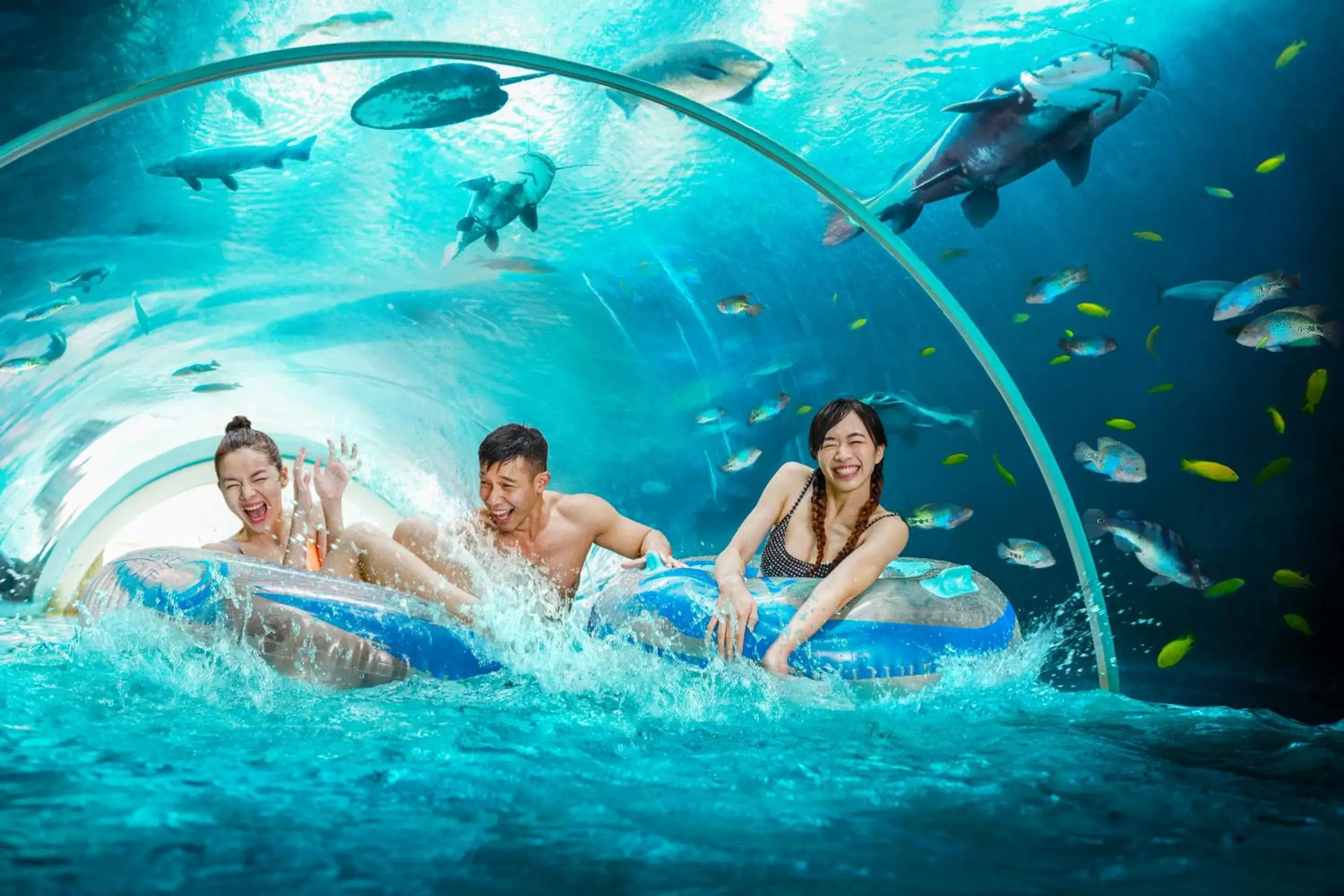 Aqua park, Swimming Pool in Resorts World Sentosa - Crockfords Tower