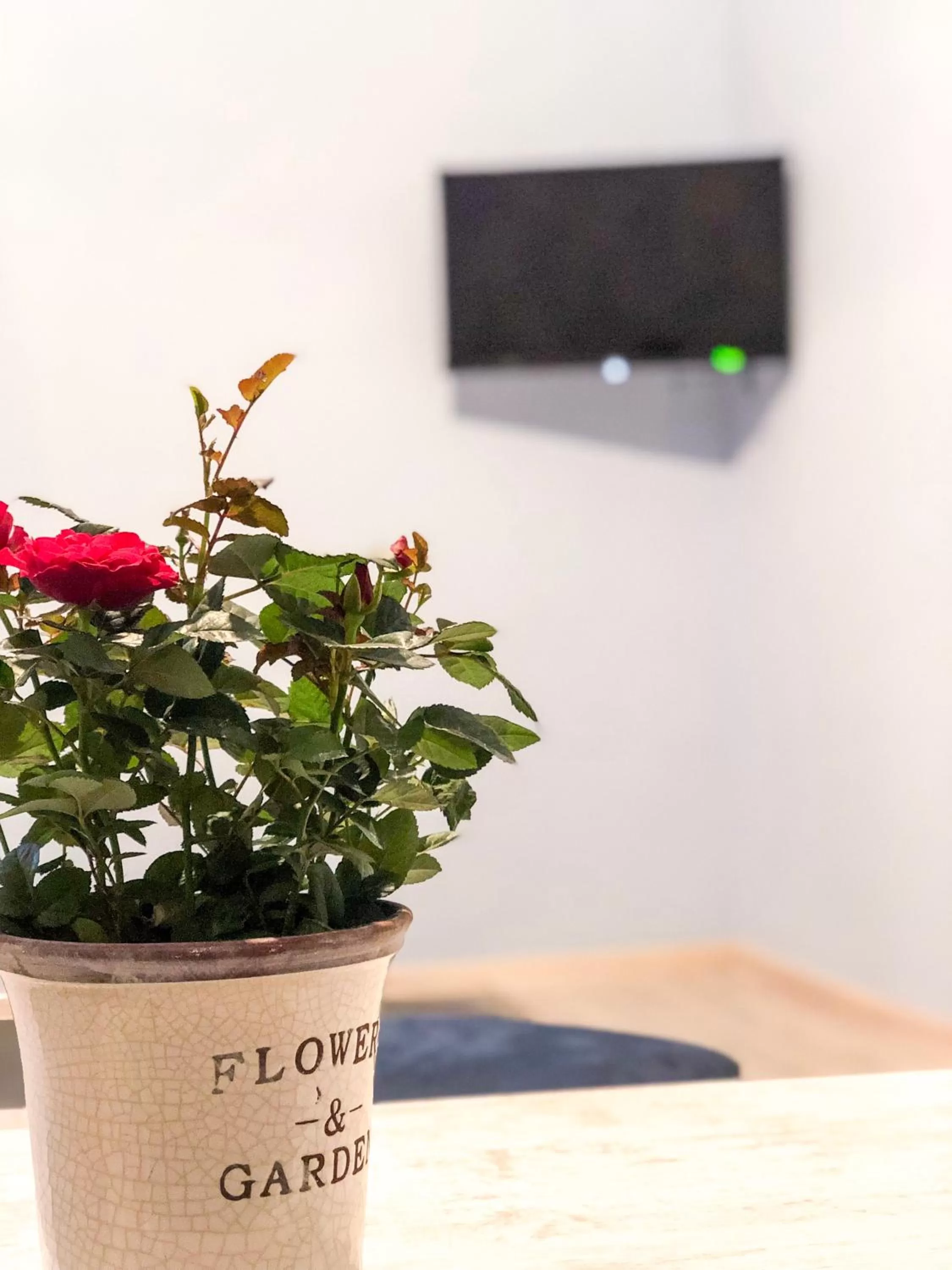 TV and multimedia in Check Point Hotel