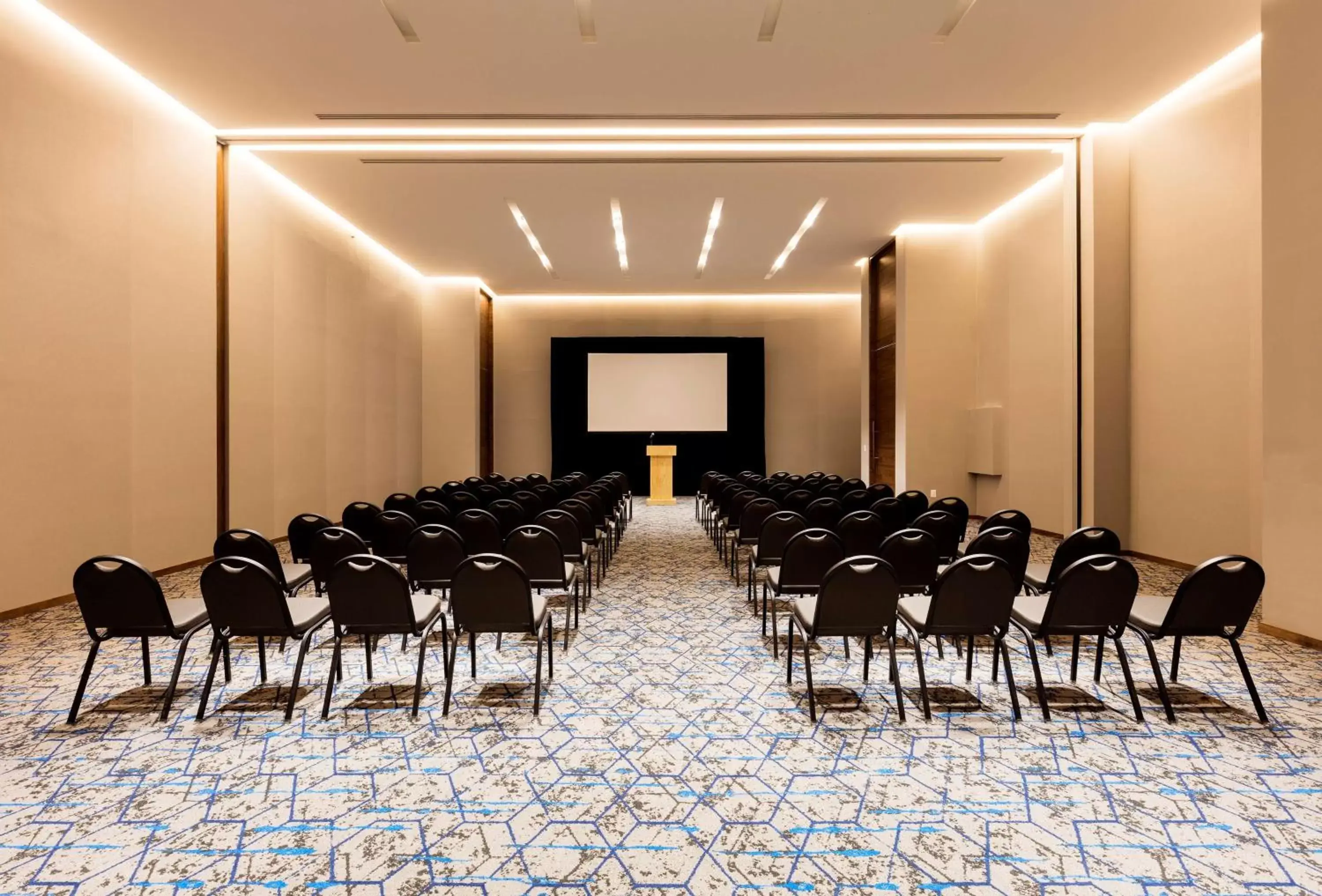 Meeting/conference room in Hilton Garden Inn Merida