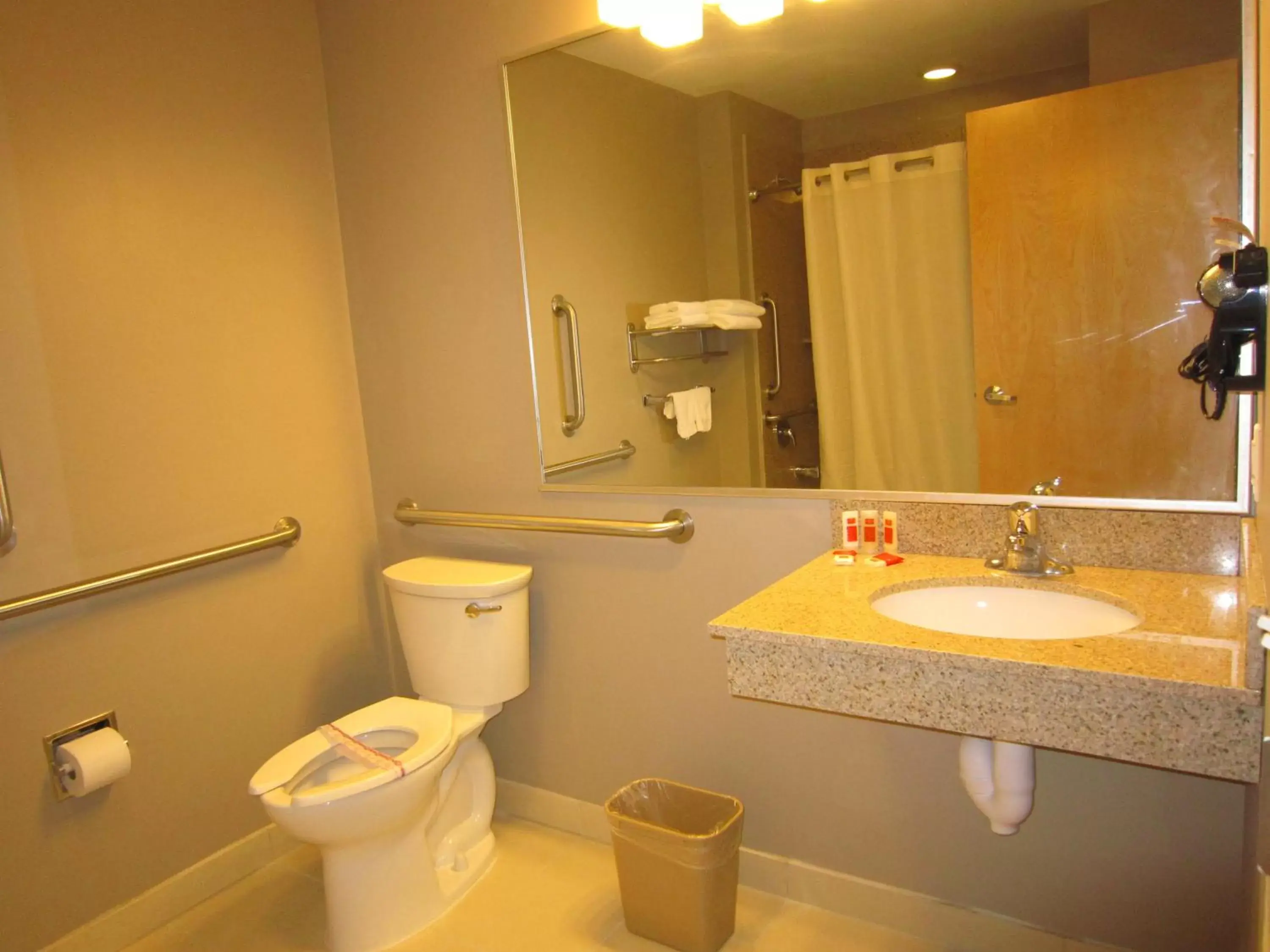 Bathroom in Red Carpet Inn and Suites Monmouth Junction