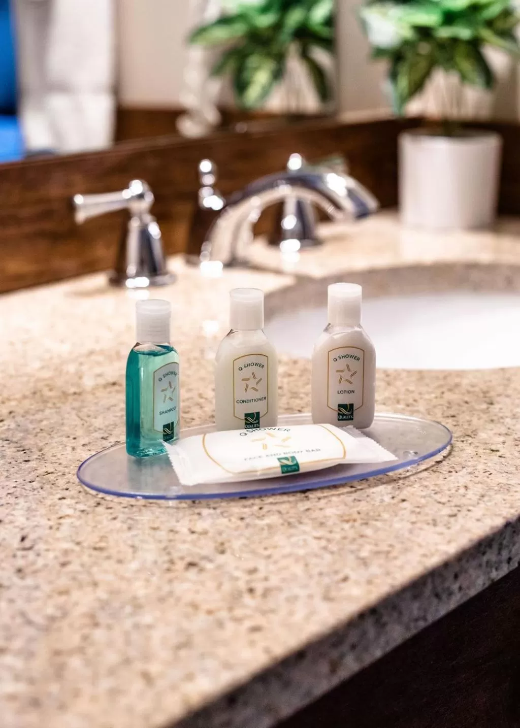 Bathroom in Quality Inn & Suites