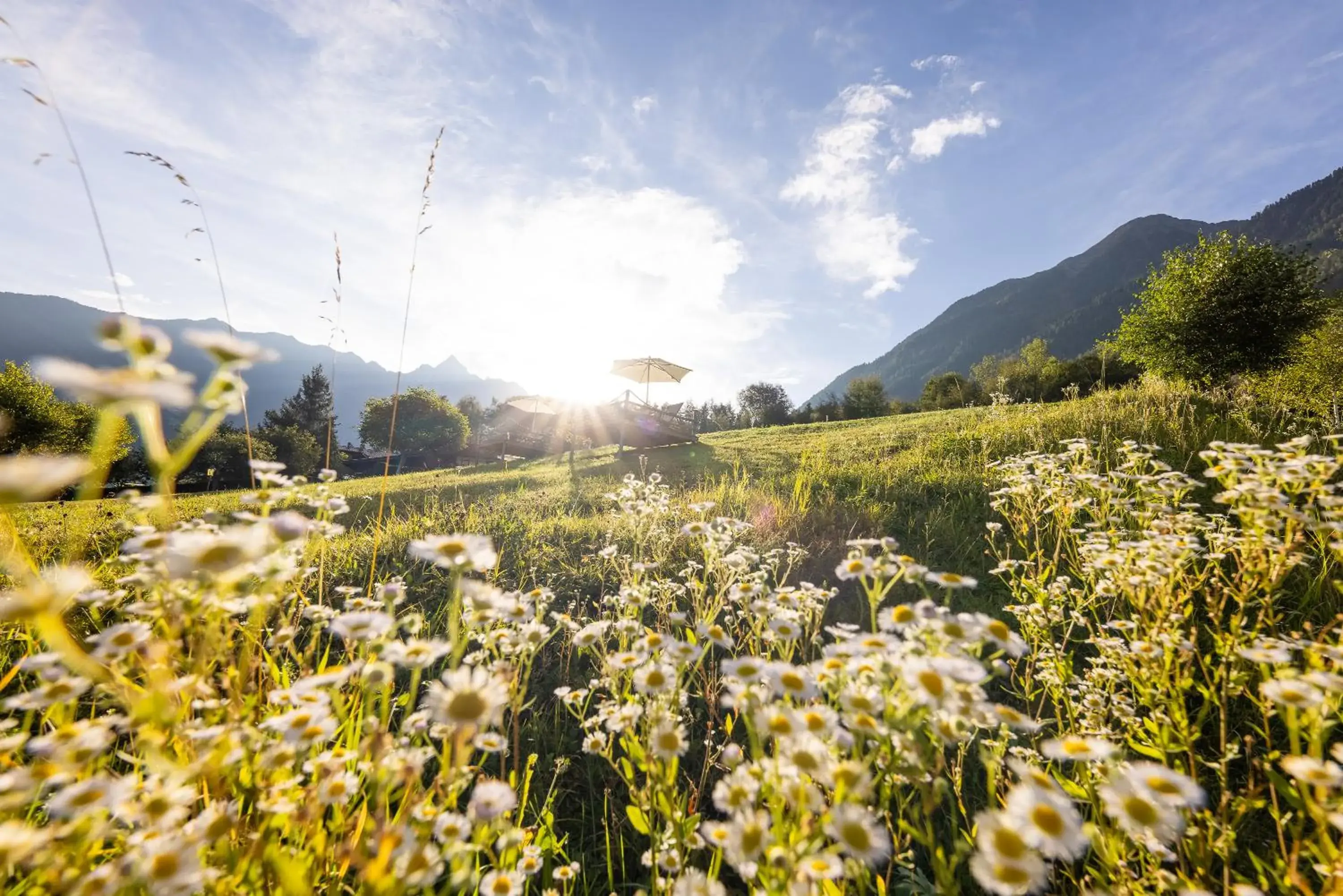 Natural landscape in Aktiv Panoramahotel Daniel