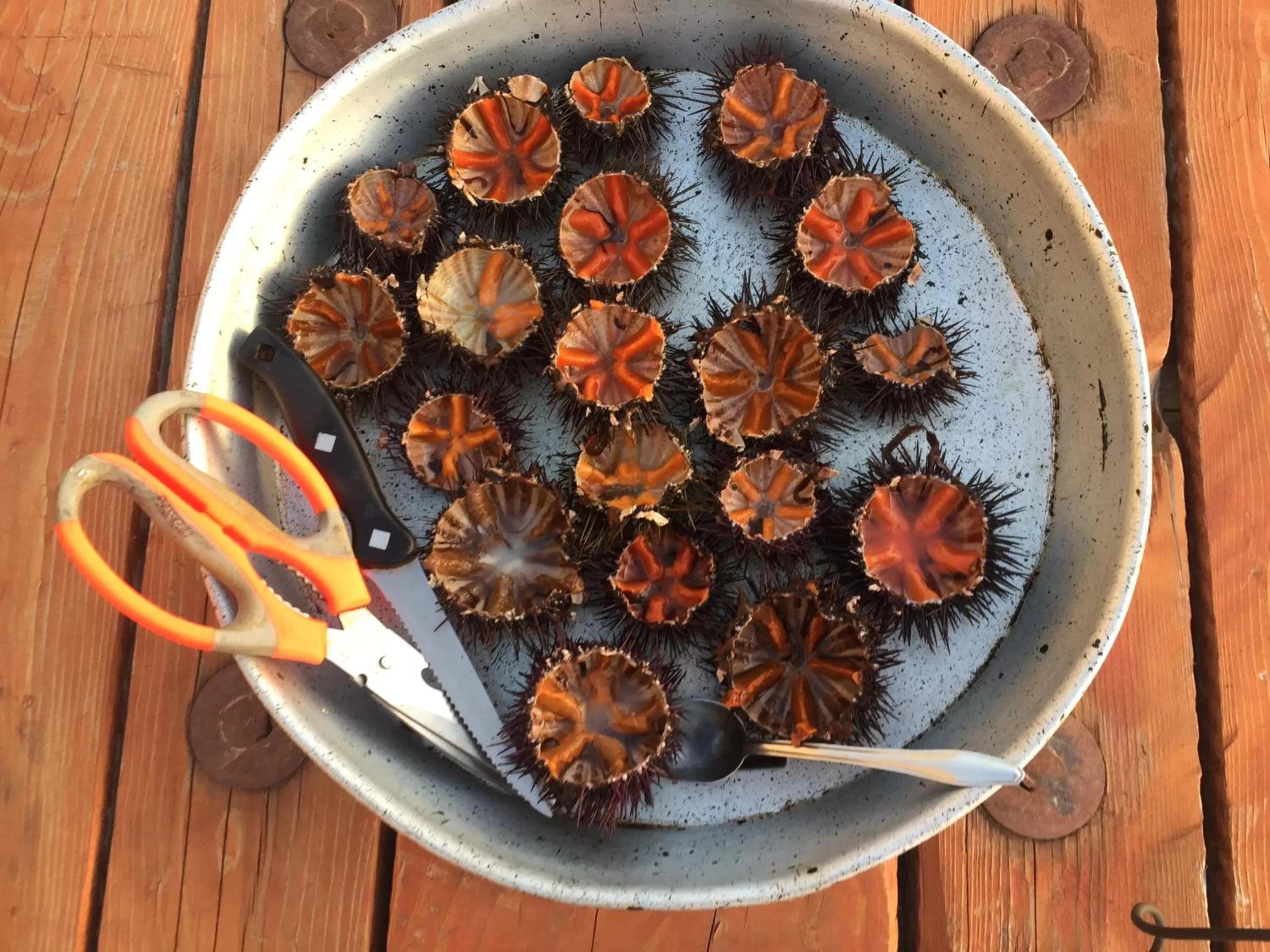 Food in Vila Rahmi & Veli Dervishaj