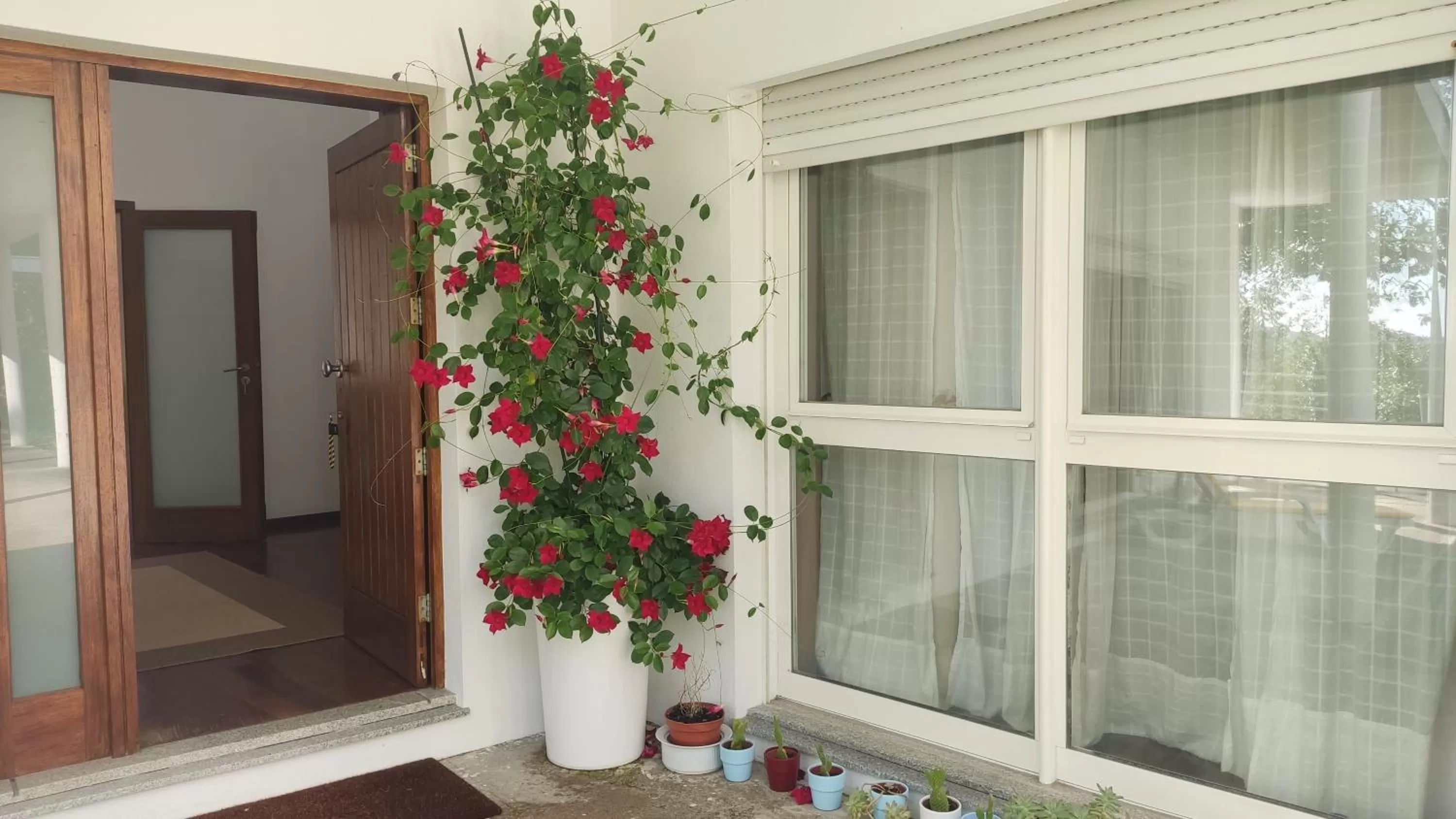 Day in Casa de Apeleiras