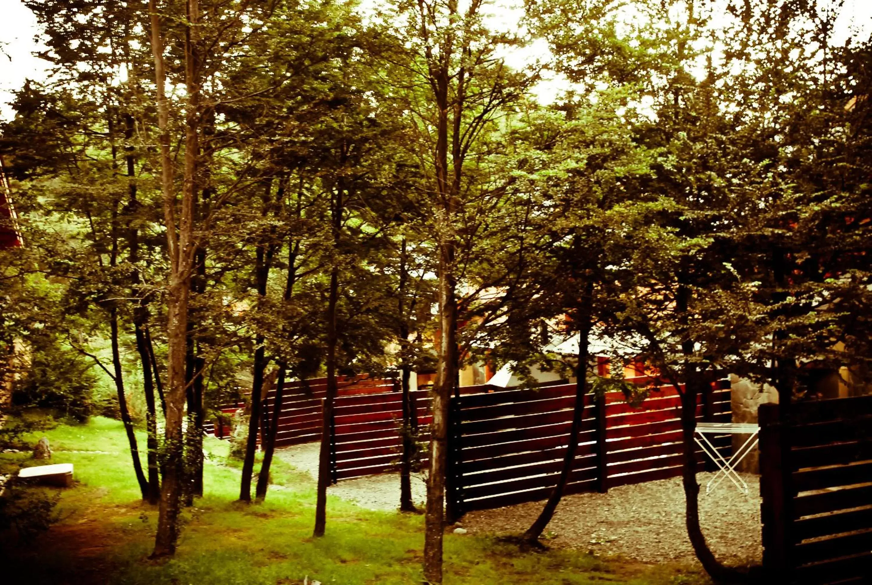 Patio, Garden in Arbolar