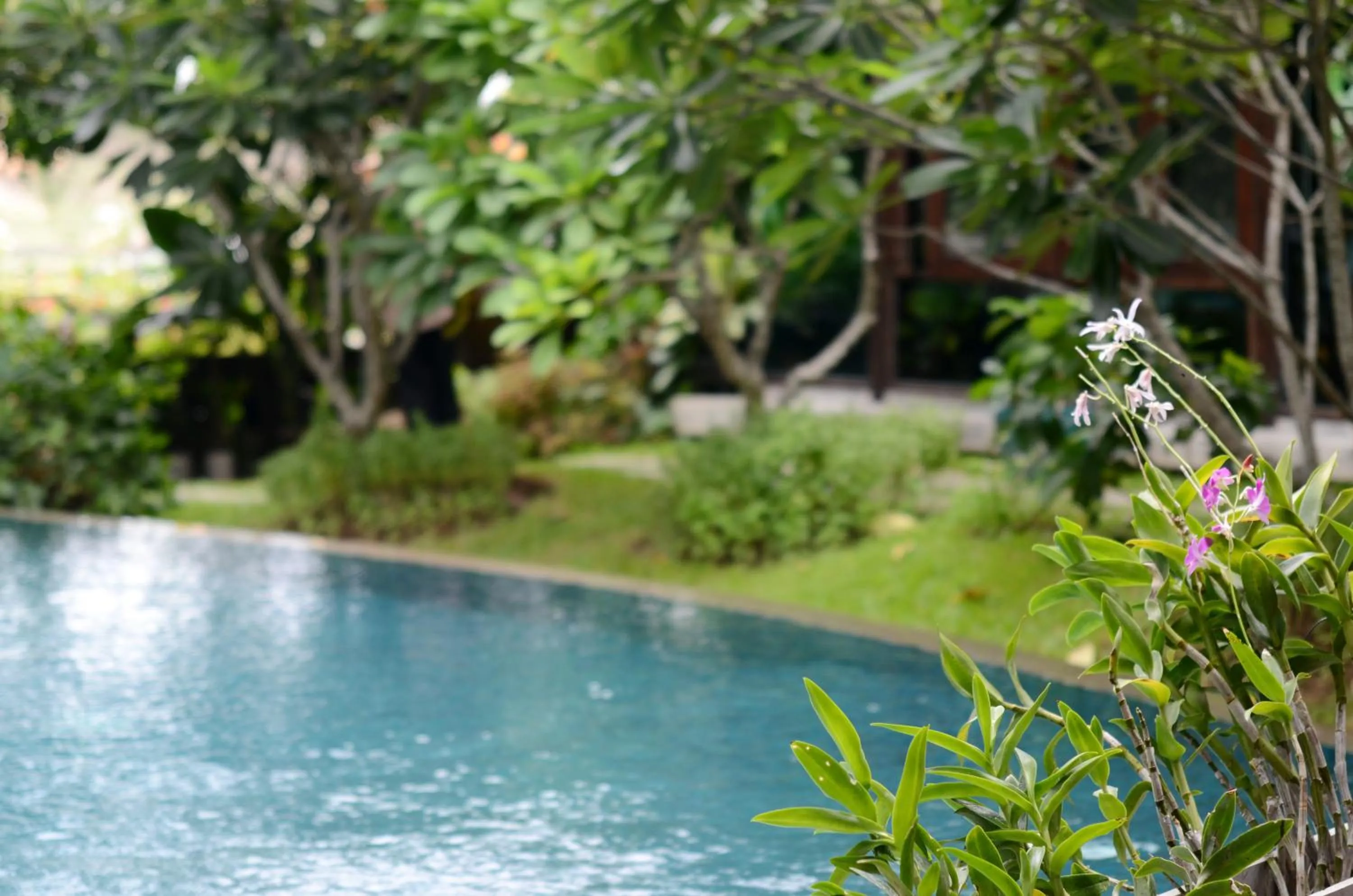 Swimming pool in Kireethara Boutique Resort