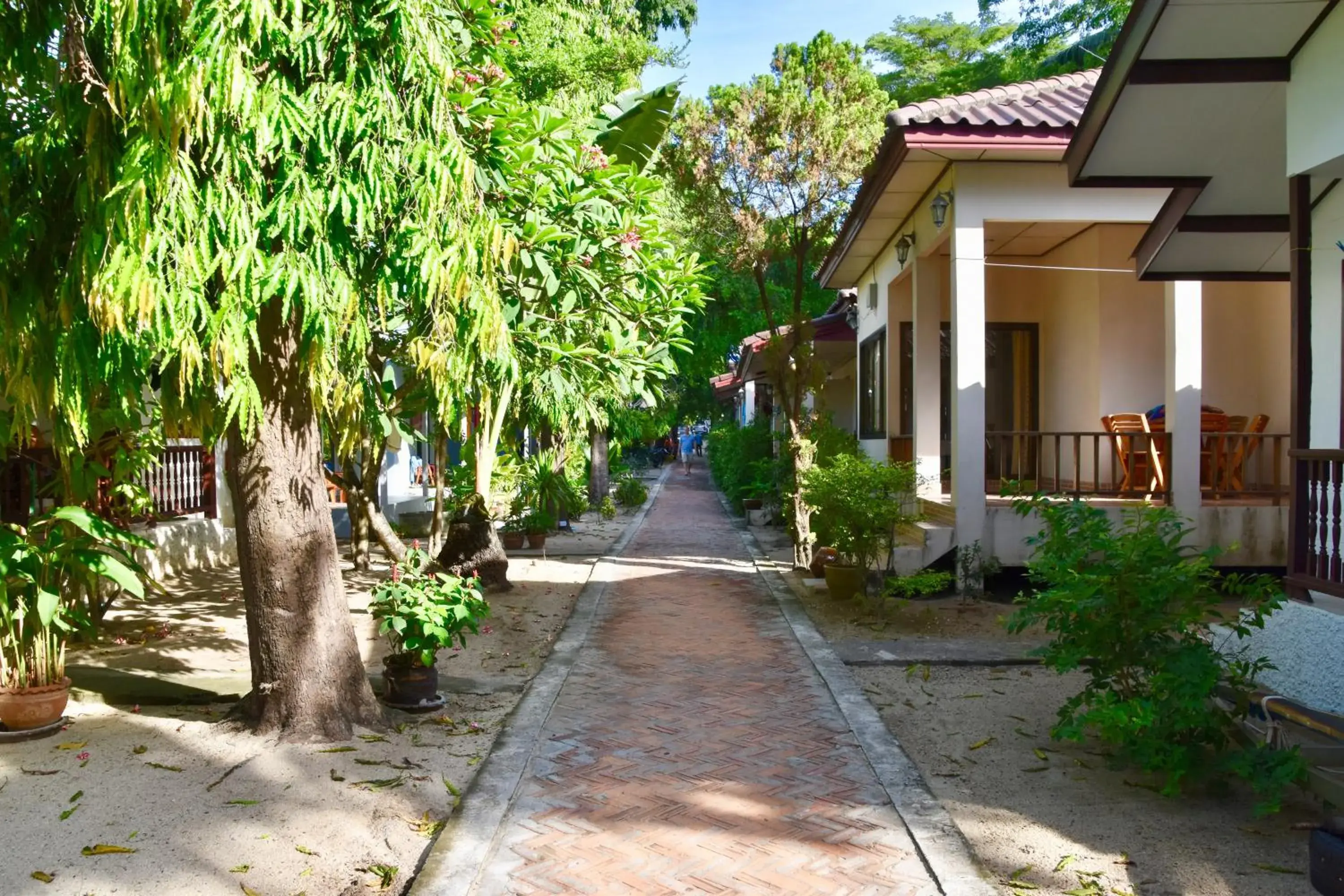 Garden view in Magic Resort Garden view in Magic Resort