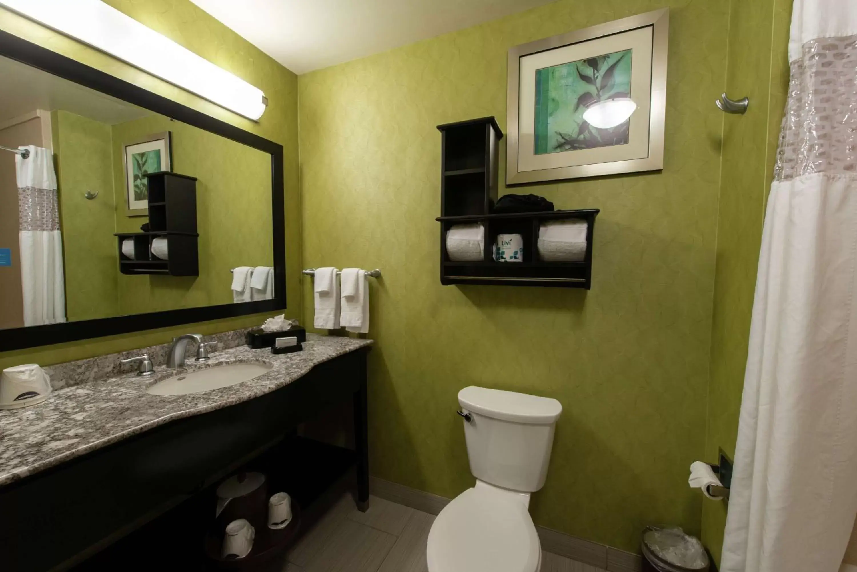 Bathroom in Hampton Inn & Suites Salt Lake City/Farmington
