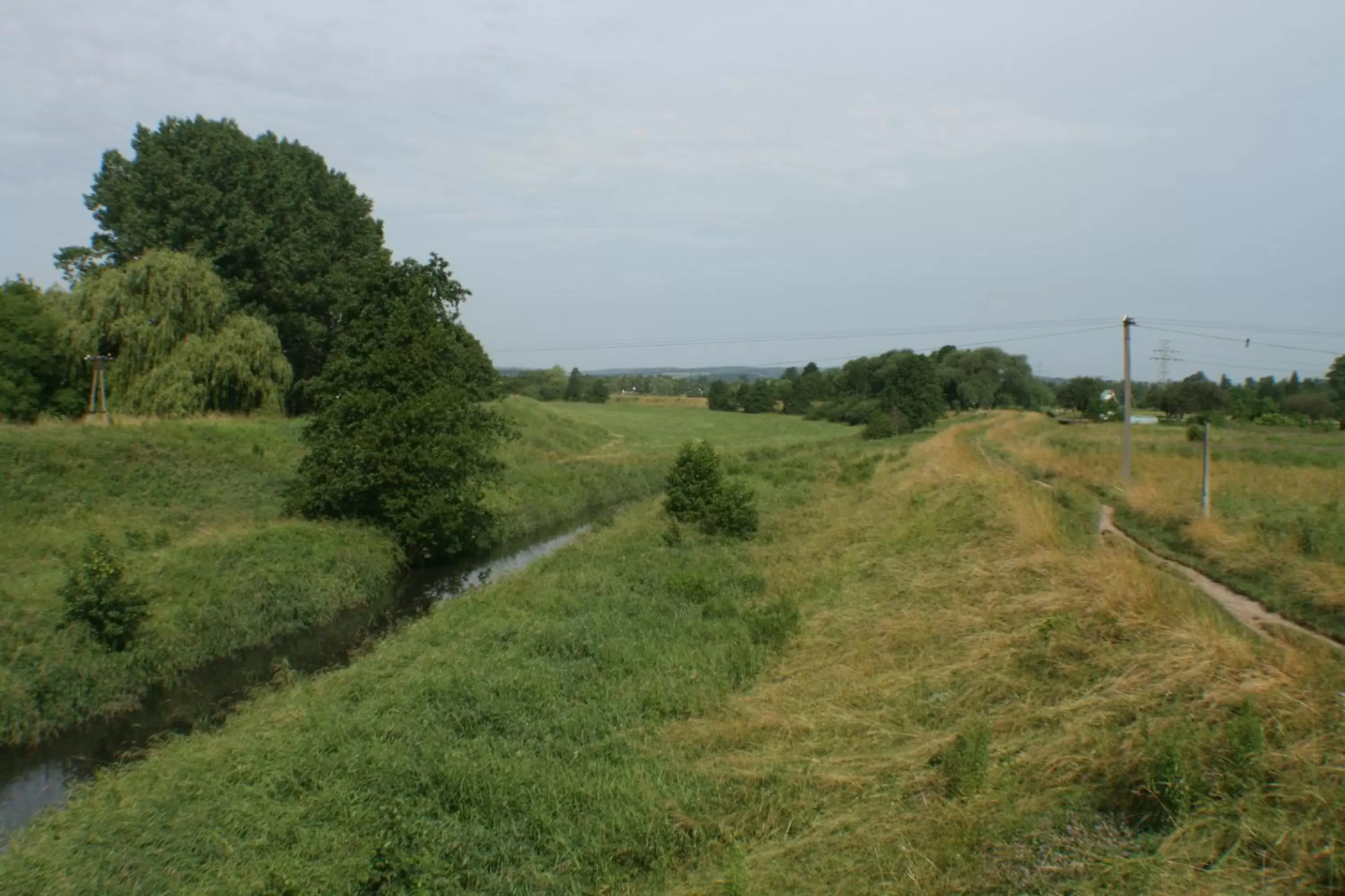 Nearby landmark, Natural Landscape in Daisy Superior