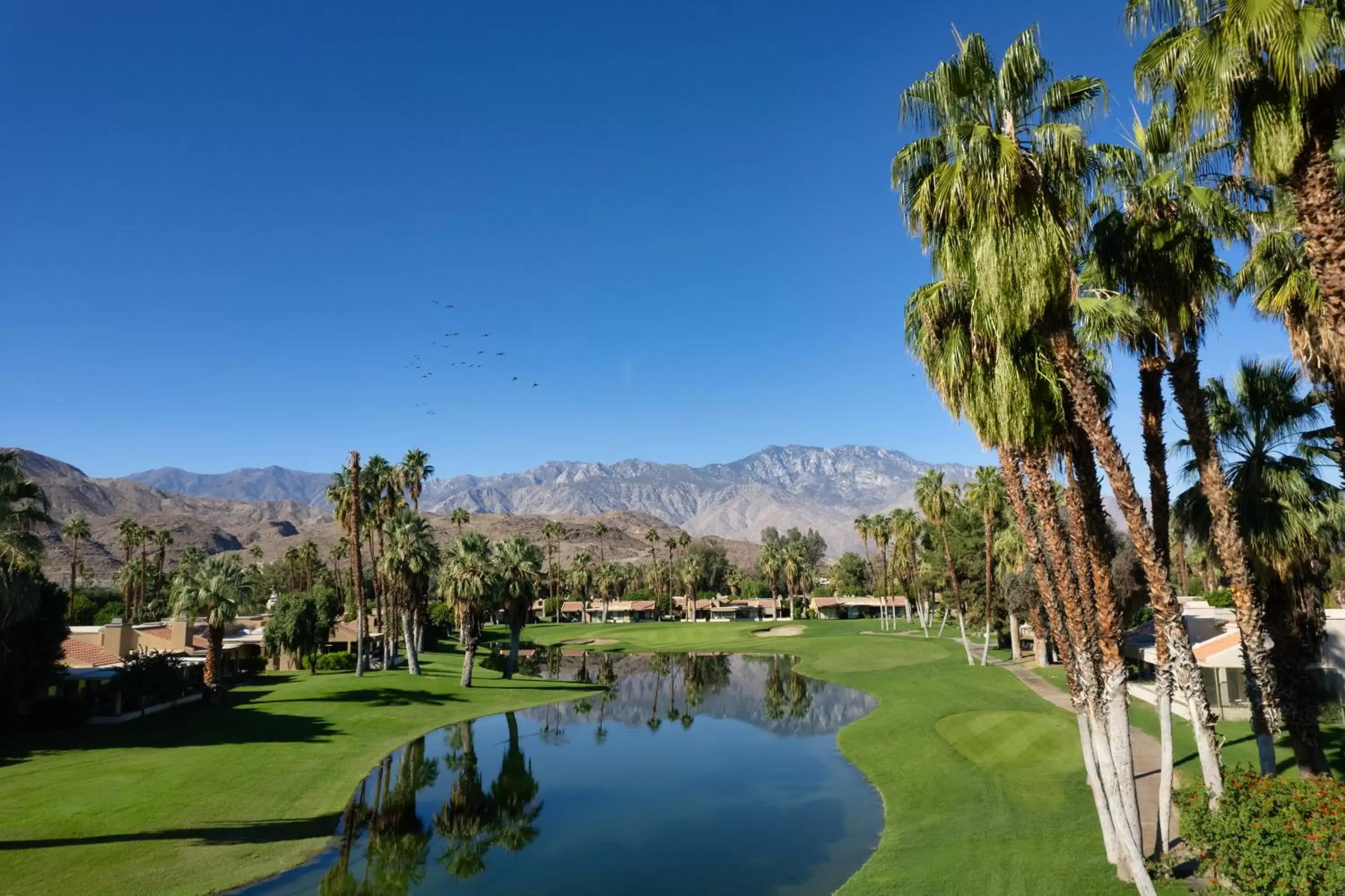 Golfcourse in Hyatt Vacation Club at Desert Oasis