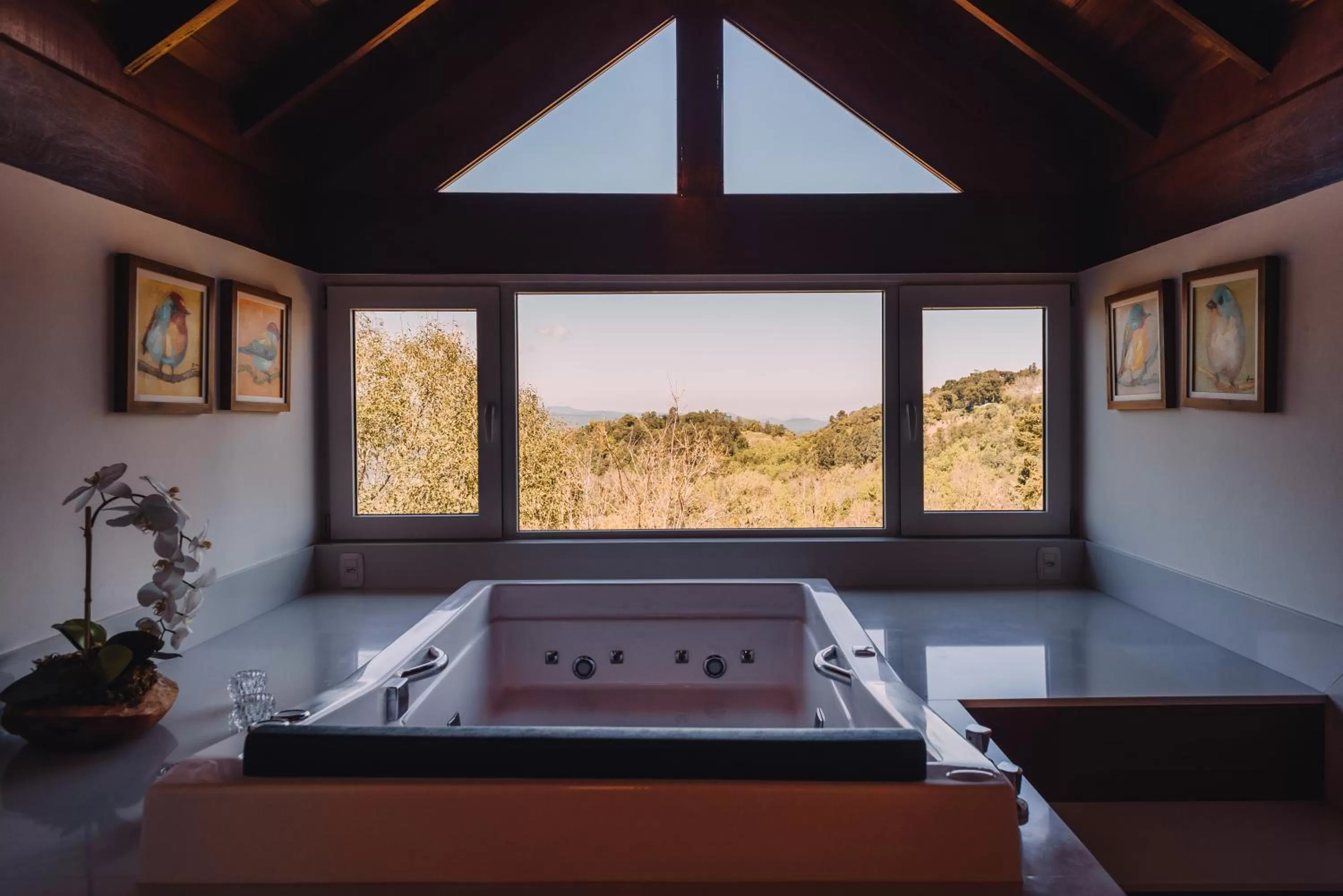 Hot Tub in Hotel Jardins da Colina