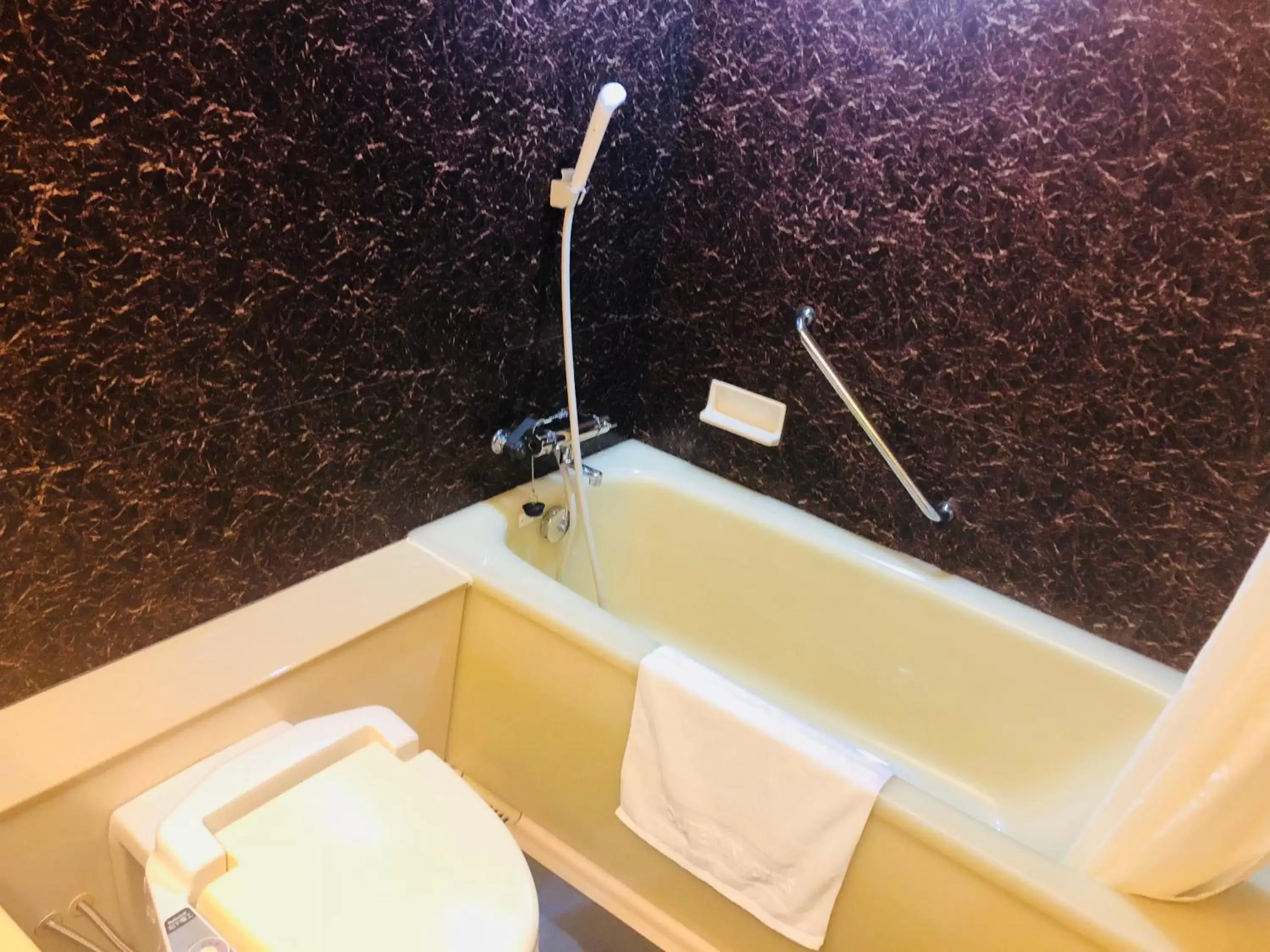 Shower in Hotel Route-Inn Ageo