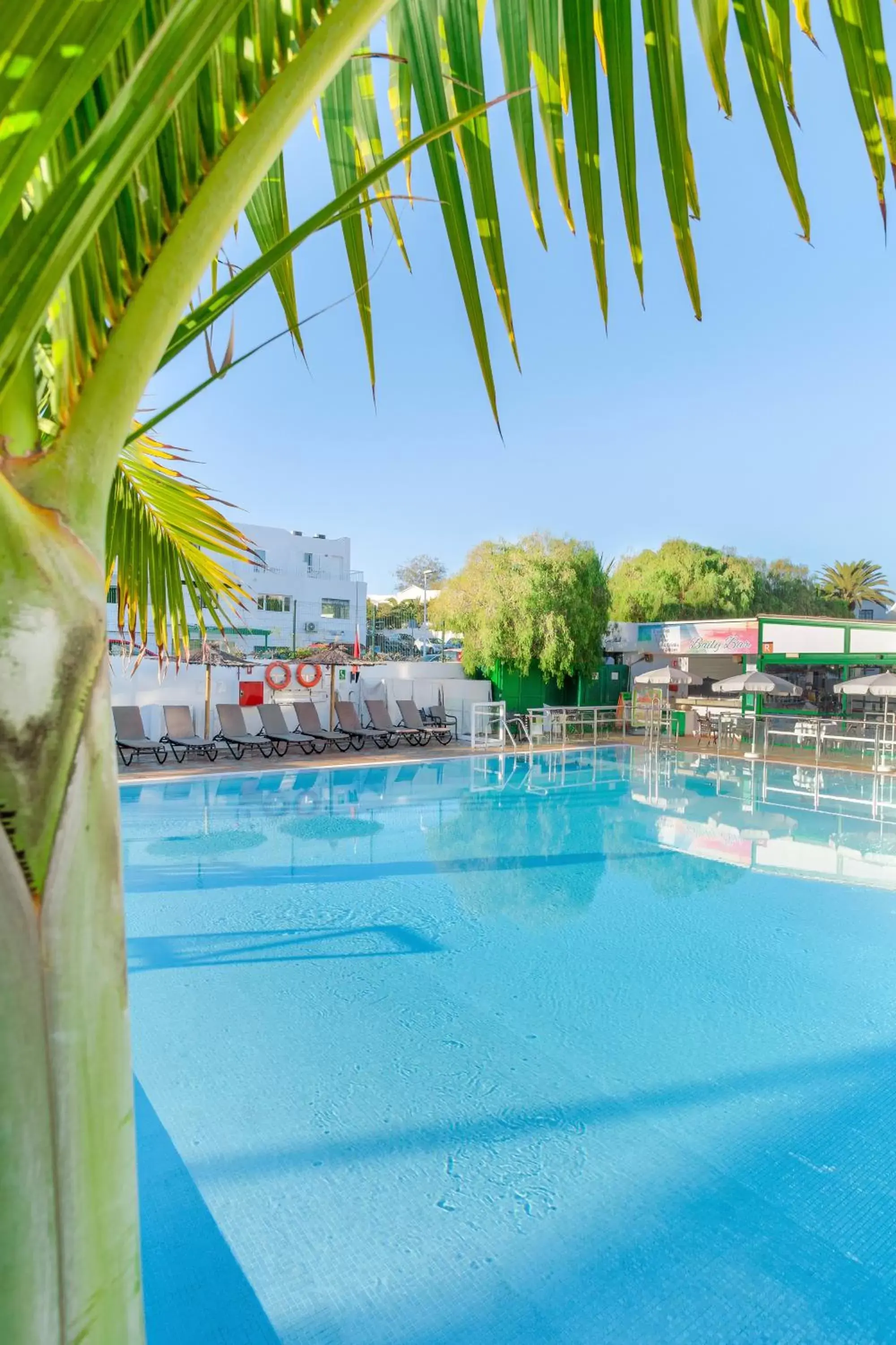 Swimming Pool in Club del Carmen