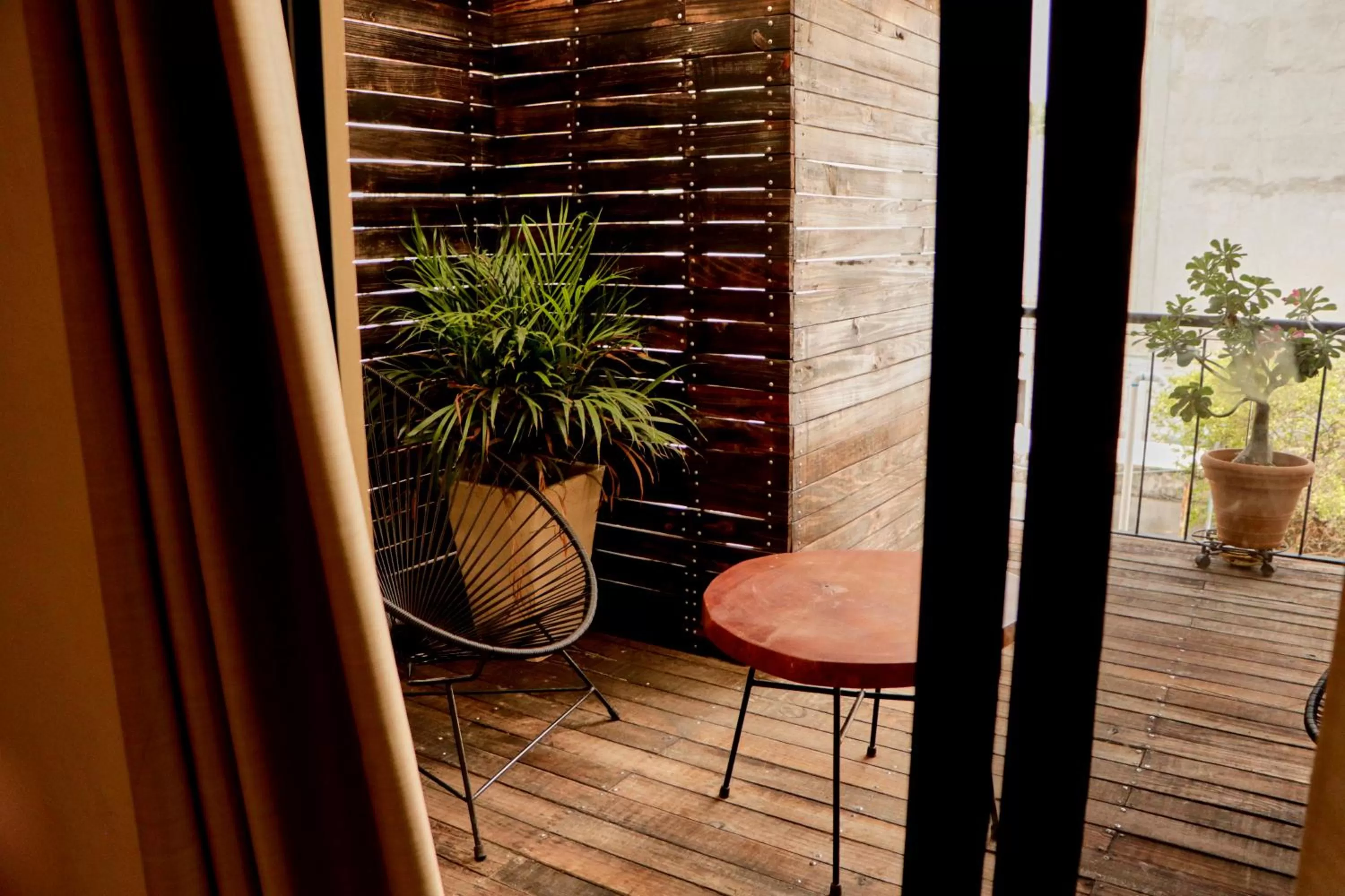 Casa Nomada Tuxtla Hotel - Hostal