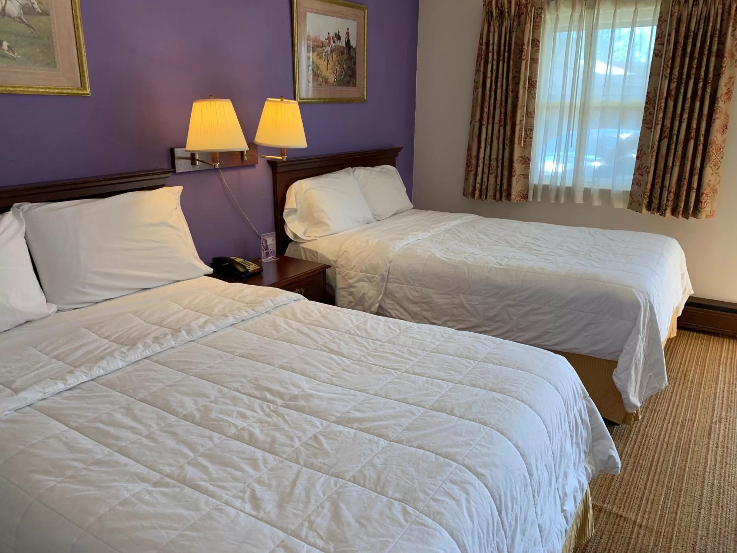 Photo of the whole room, Bed in Red Carpet Inn - Gettysburg