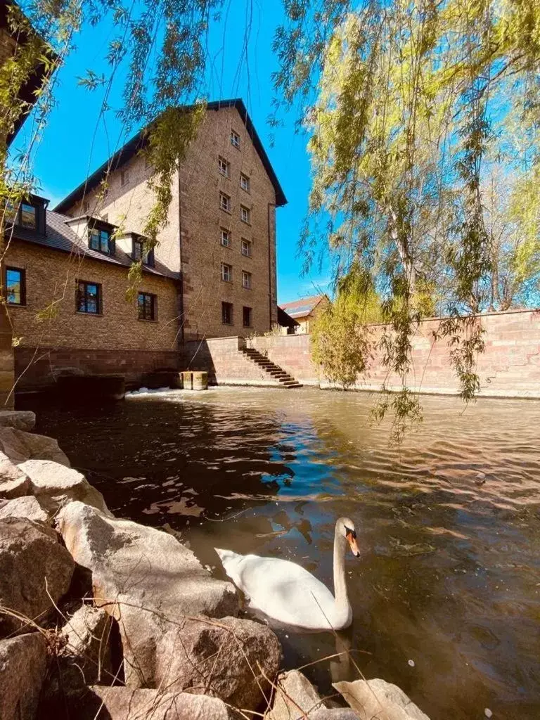 Hôtel-SPA Le Moulin De La Wantzenau - Strasbourg Nord