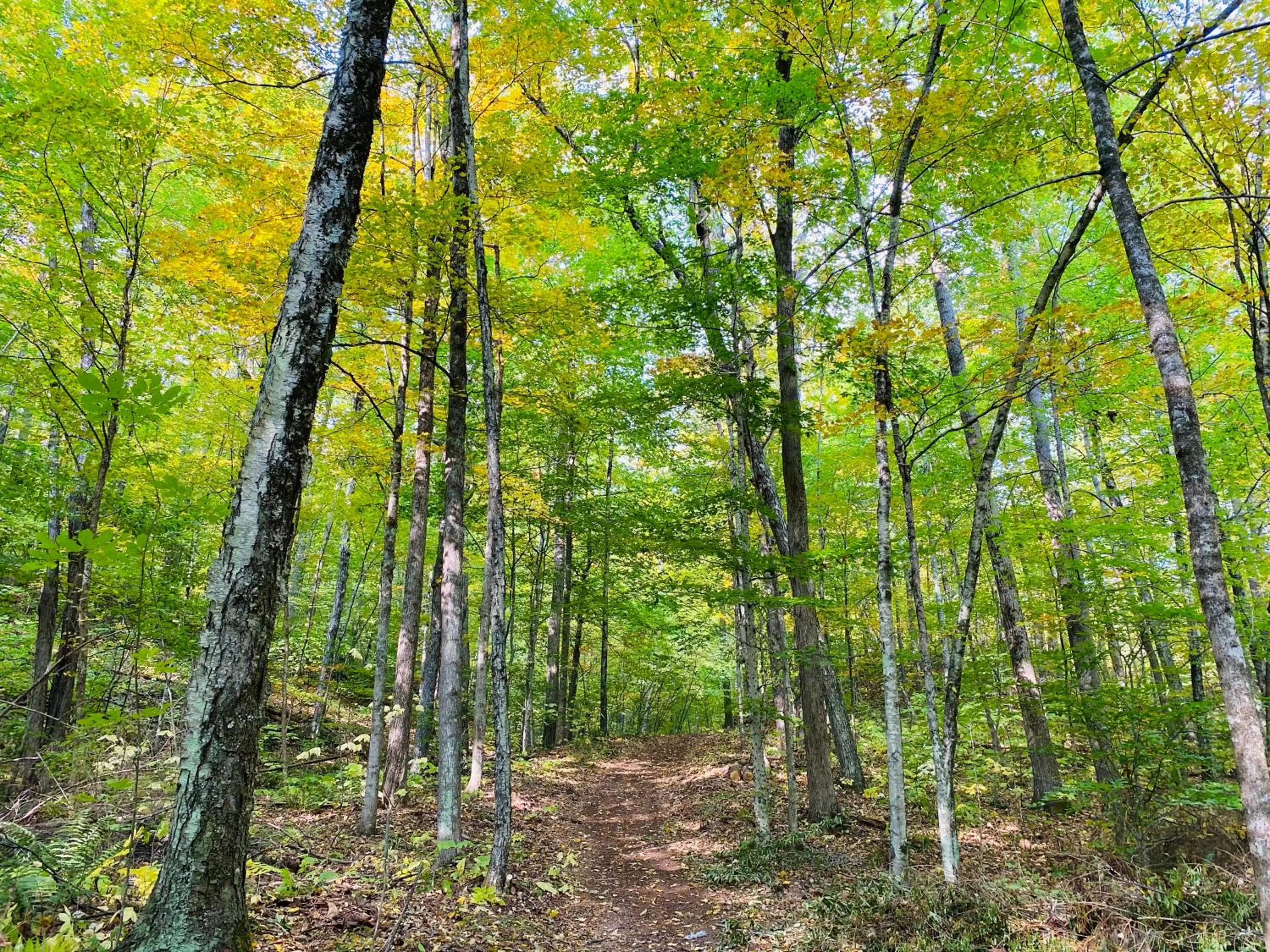 Arcady Mountain Motor Lodge