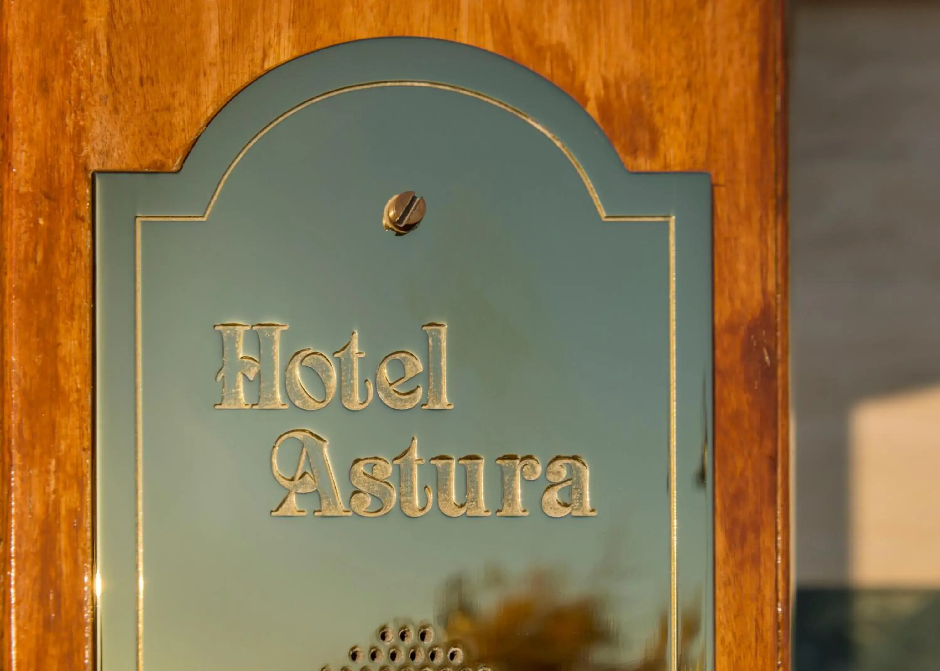 Decorative detail, Property Logo/Sign in Astura Palace Hotel