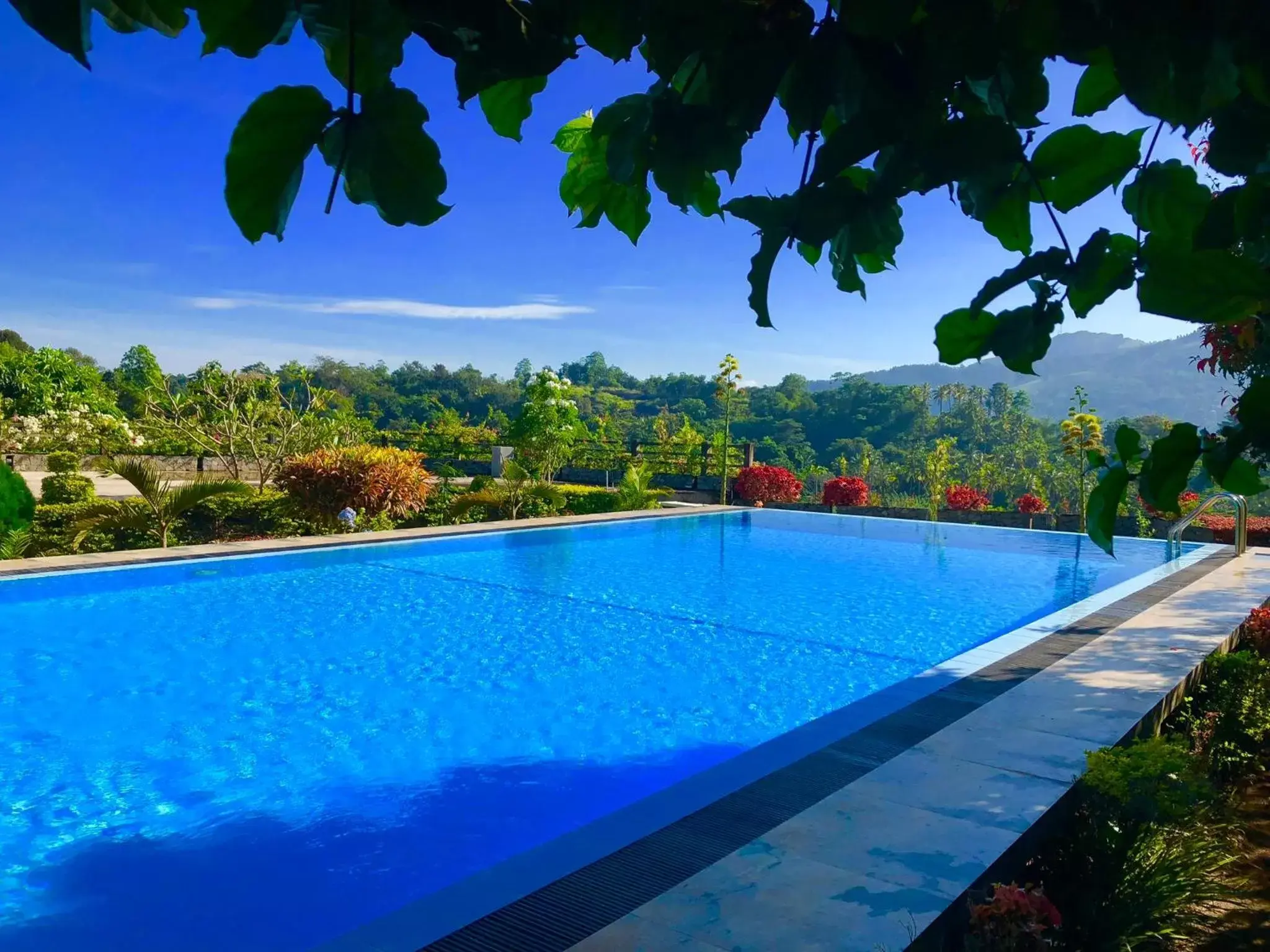 Pool view, Swimming Pool in Elegant Hotel