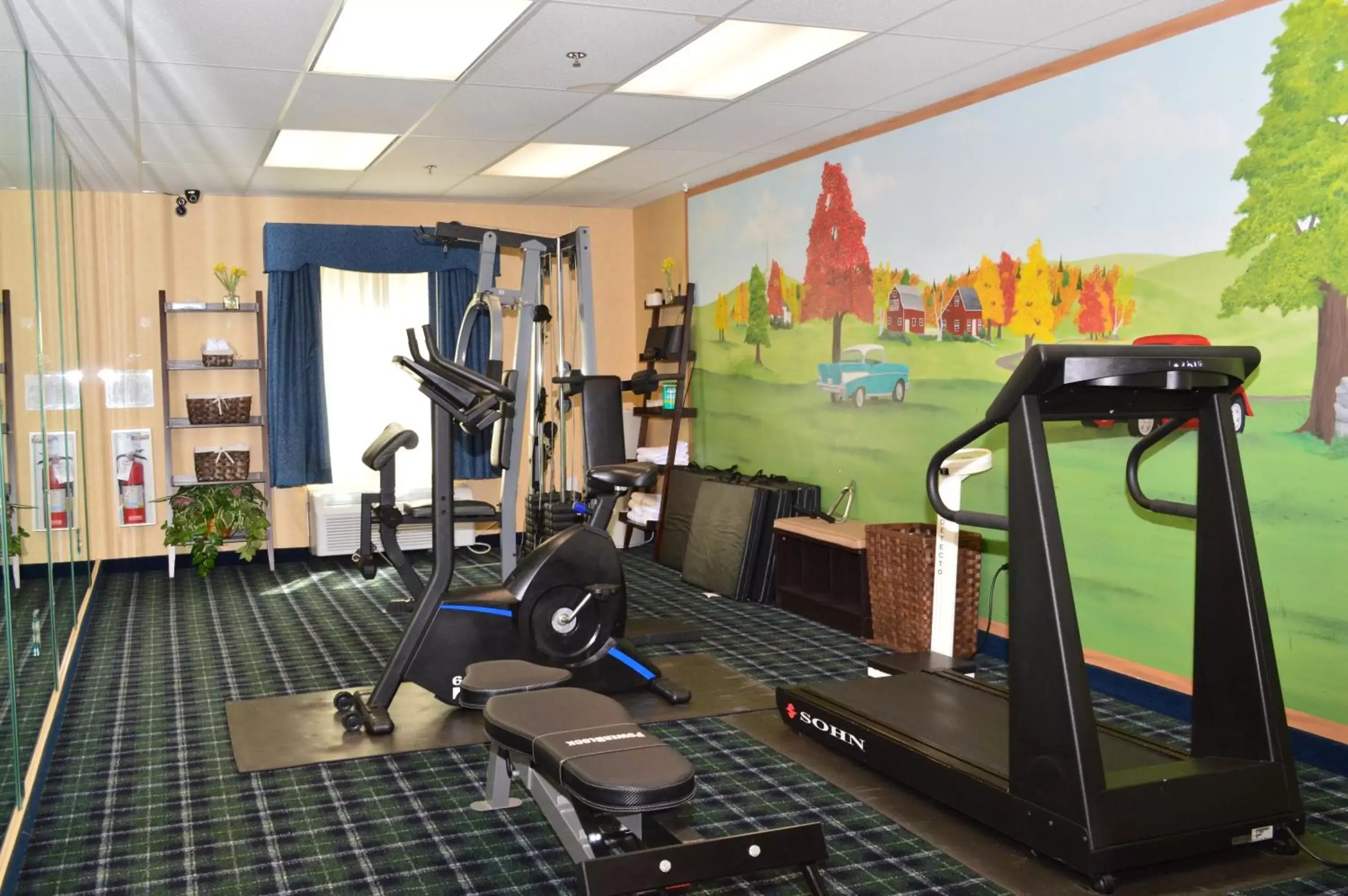 Fitness Center/Facilities in Manchester Inn & Suites